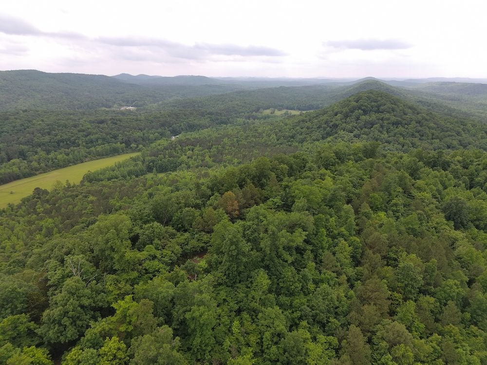 Old Compton Road, LotWP001, Remlap, AL 35133 LandWatch