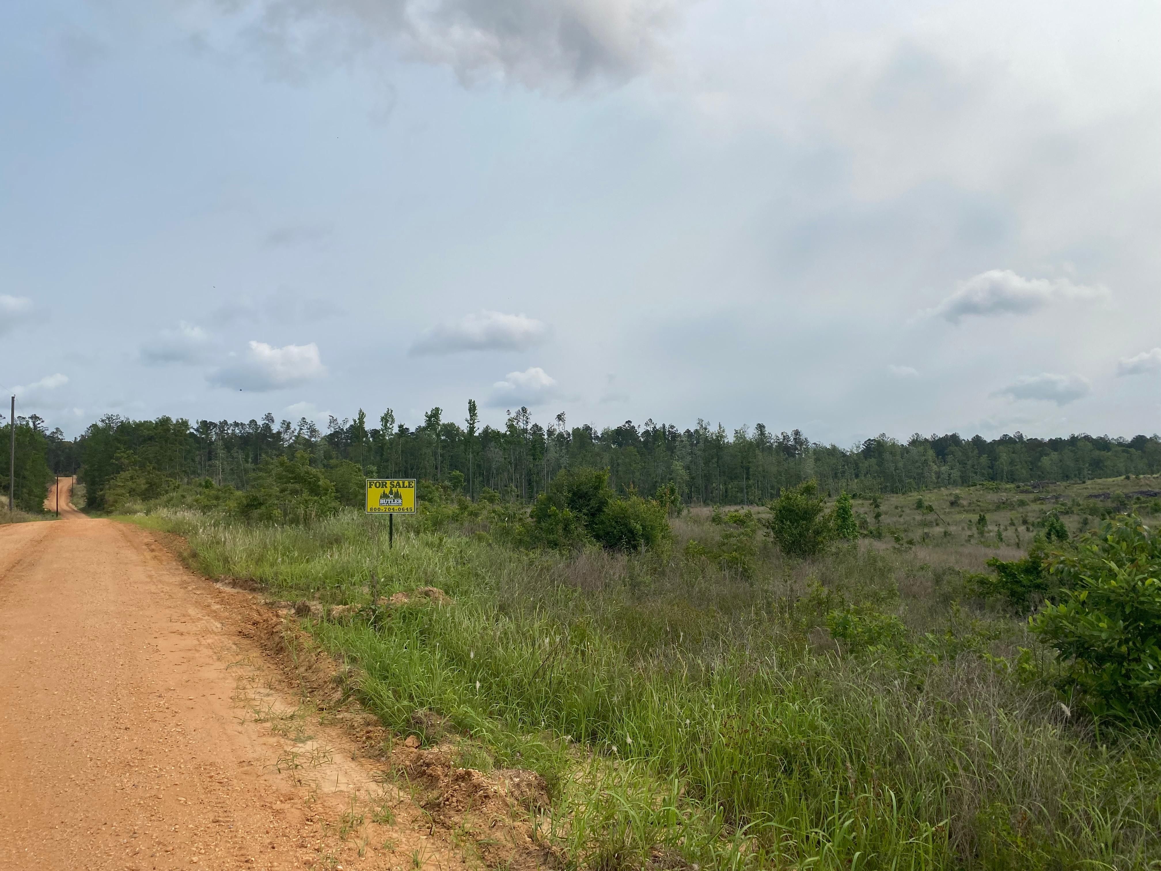 Citronelle, Washington County, AL Recreational Property, Hunting
