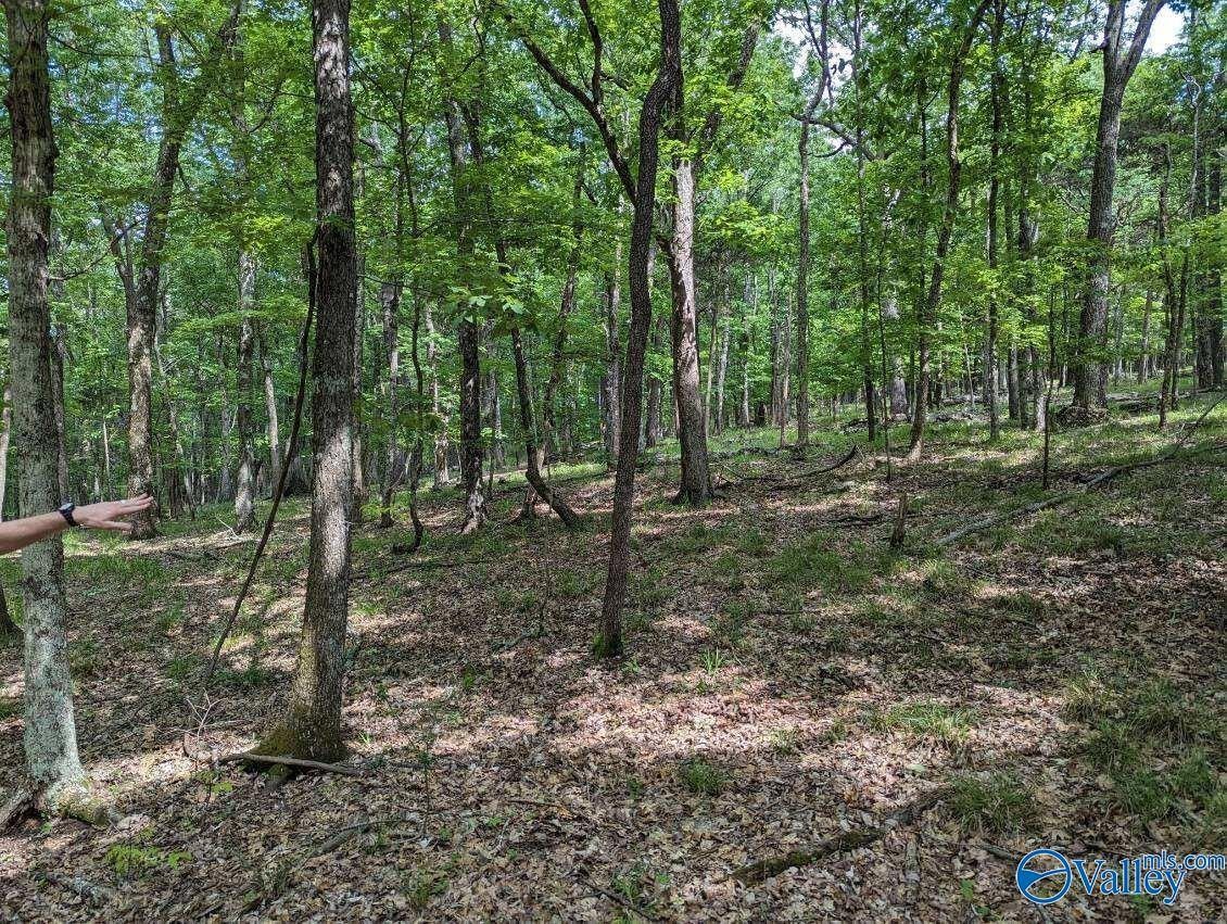 40 Acres Berry Road, Brownsboro, AL 35741 MLS 21856876 LandWatch