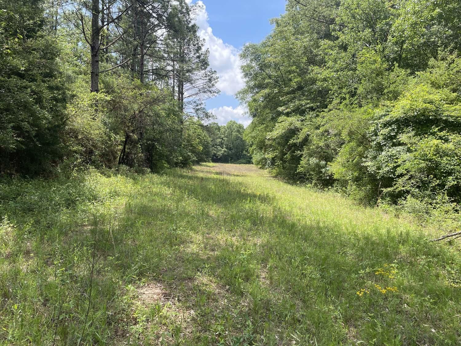 202 acres in Red Level, AL, 36474 MLS 545 LandWatch