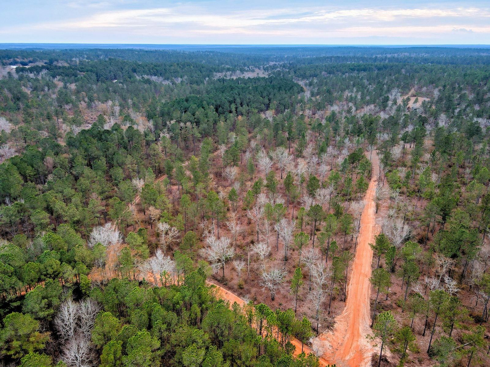 0000 Deer Run Road, Aiken, SC 29803 | MLS: 211320 | LandWatch