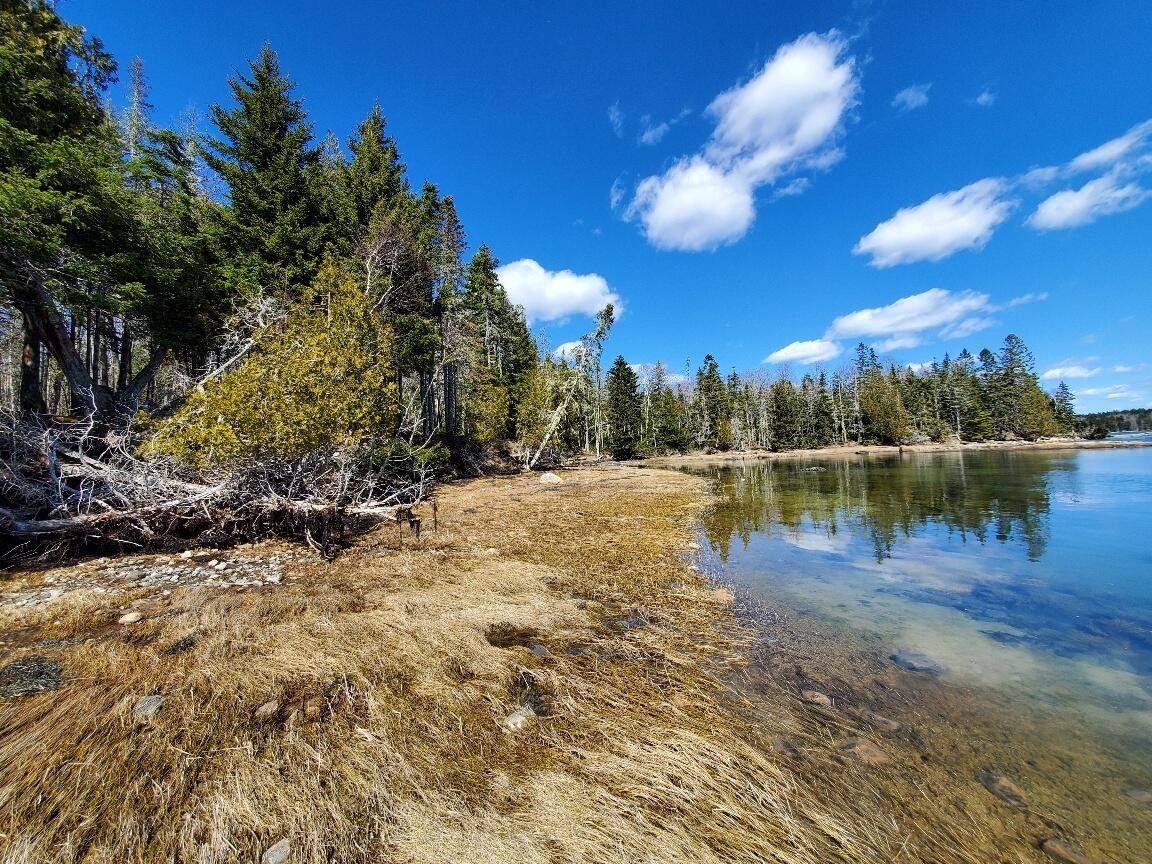 Steuben, Washington County, ME Undeveloped Land, Lakefront Property