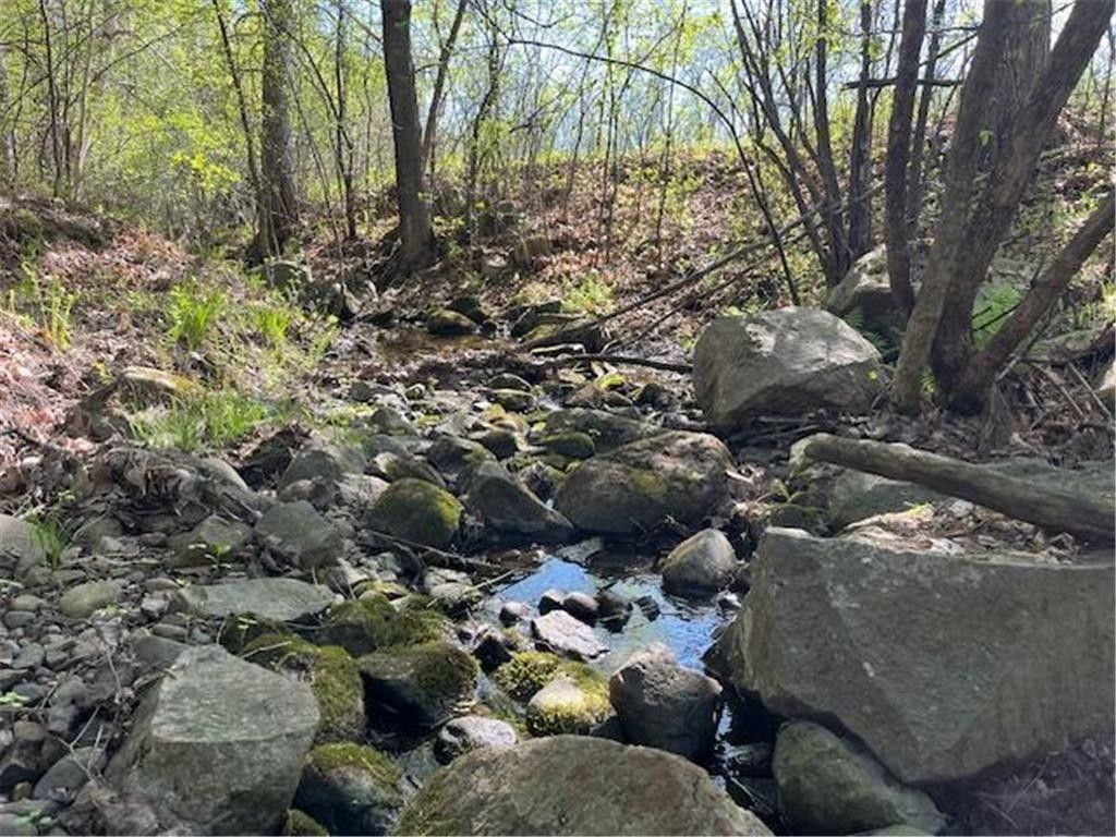 Luck, Polk County, WI Undeveloped Land, Lakefront Property, Waterfront