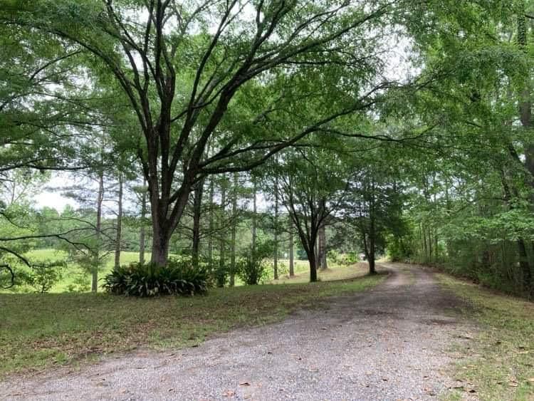 6169 U.S. 61, Woodville, MS 39669 MLS 2024002983 LandWatch