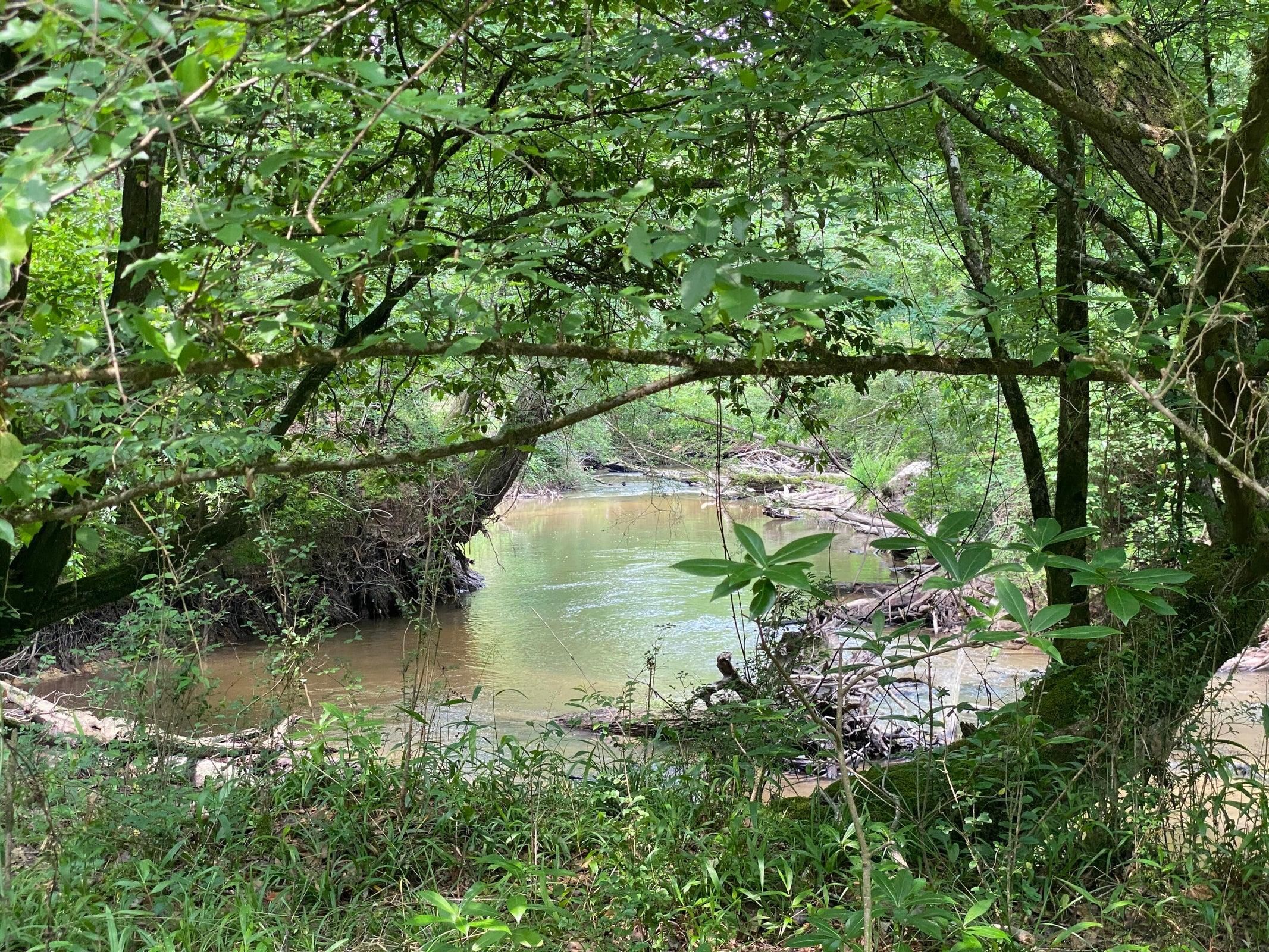 Mapp Turner Road, Oak Vale, MS 39656 MLS 137988 LandWatch