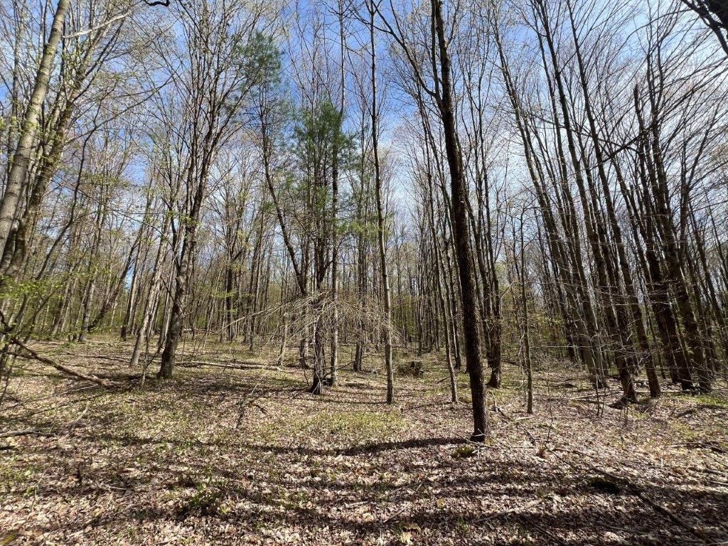 14 acres in Gilbertsville, NY, 13776 LandWatch