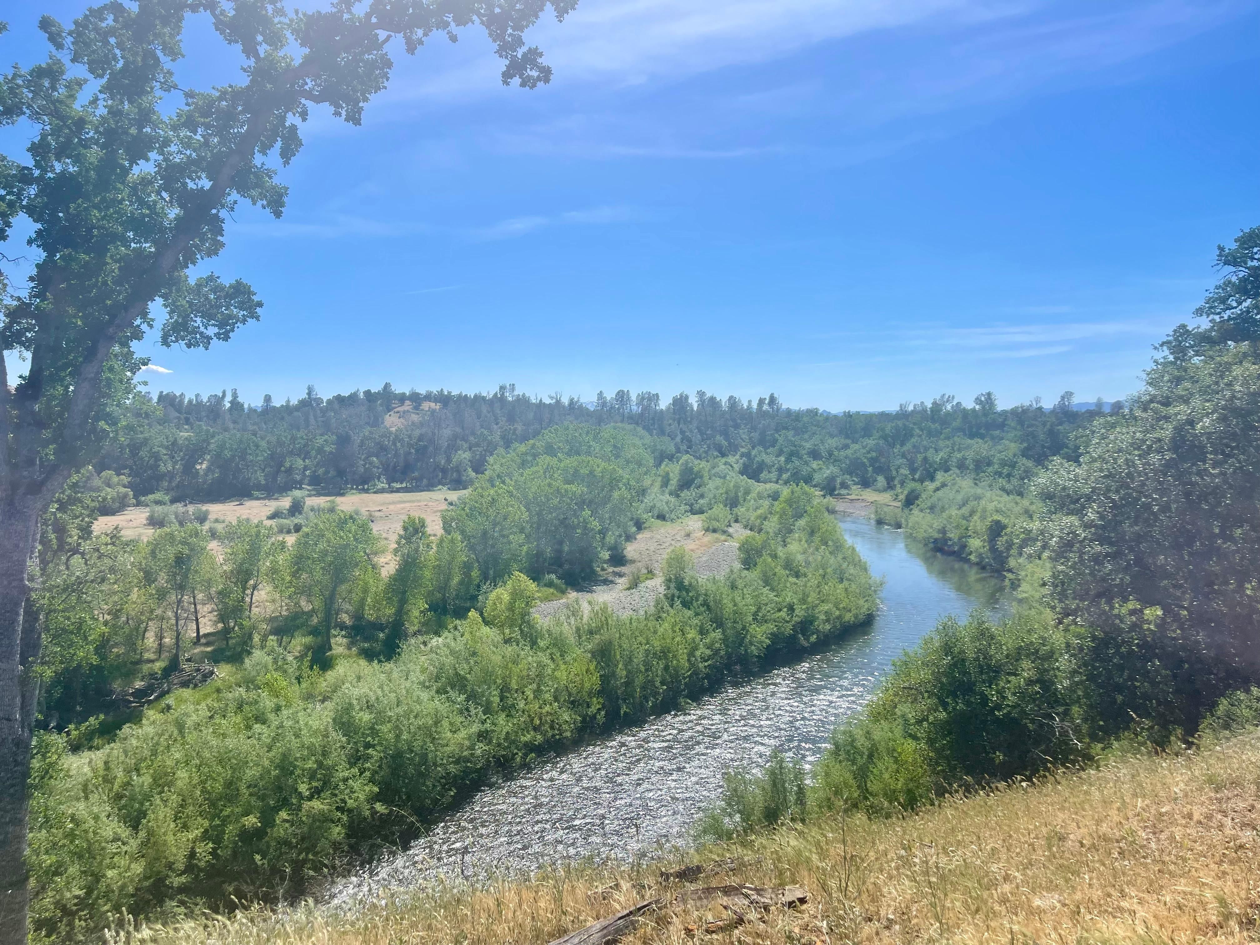 Cottonwood, Shasta County, CA Farms and Ranches for sale Property ID