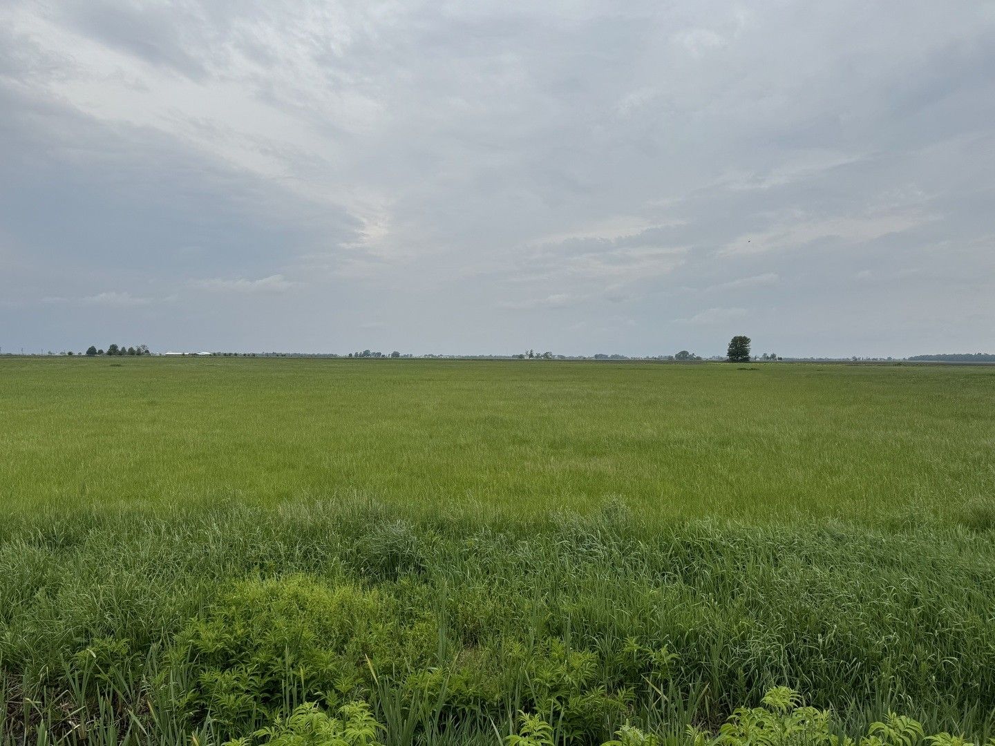Bonfield, Kankakee County, IL Farms and Ranches for sale Property ID 419748496 LandWatch