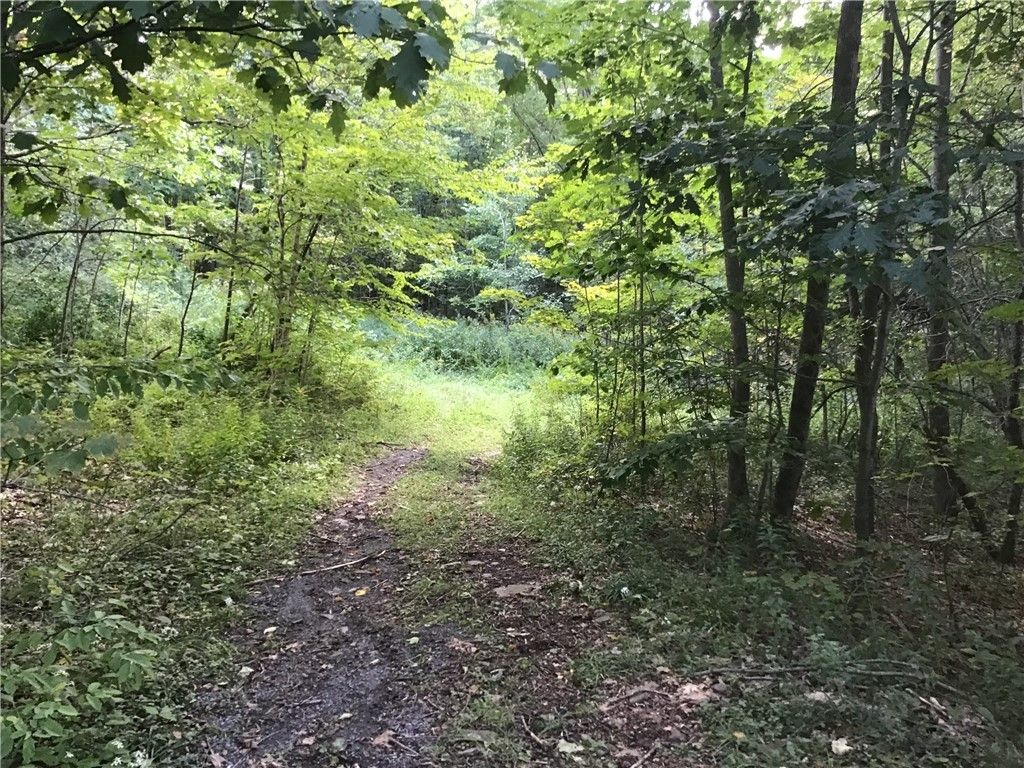 Fleischmanns, Greene County, NY Undeveloped Land, Homesites for sale
