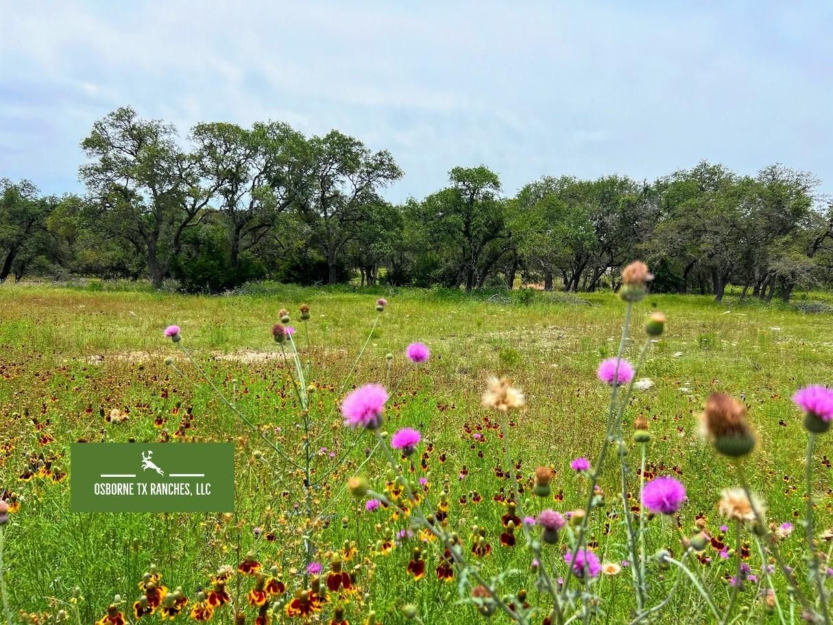 33.24 acres in Fredericksburg, TX, 78624 LandWatch
