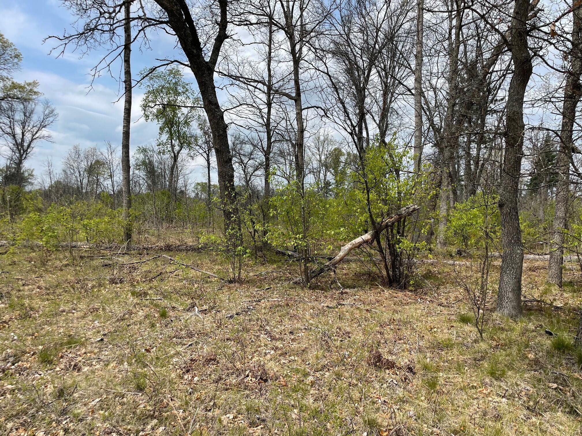 V/L Husiar, Wellston, MI 49689 MLS 24024651 LandWatch