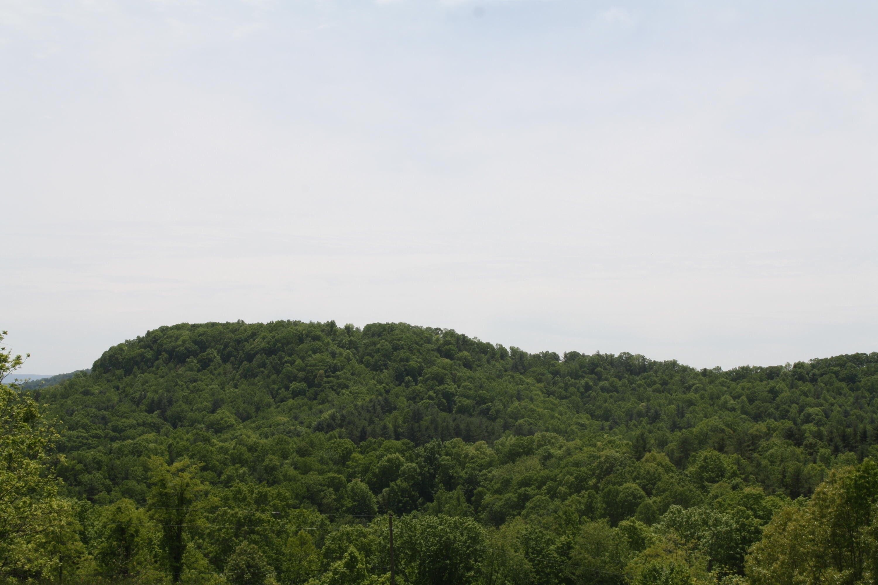 Dunns Road, Jumping Branch, WV 25969 MLS 24658 LandWatch
