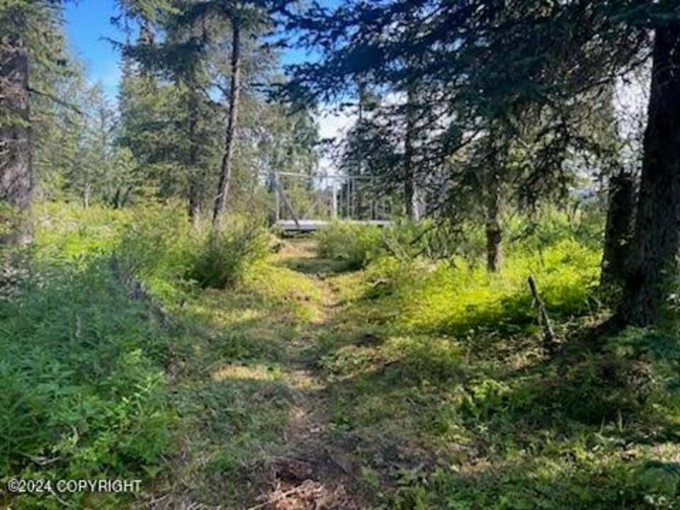 L3 Brillo Road, Anchor Point, AK 99556 MLS 245168 LandWatch