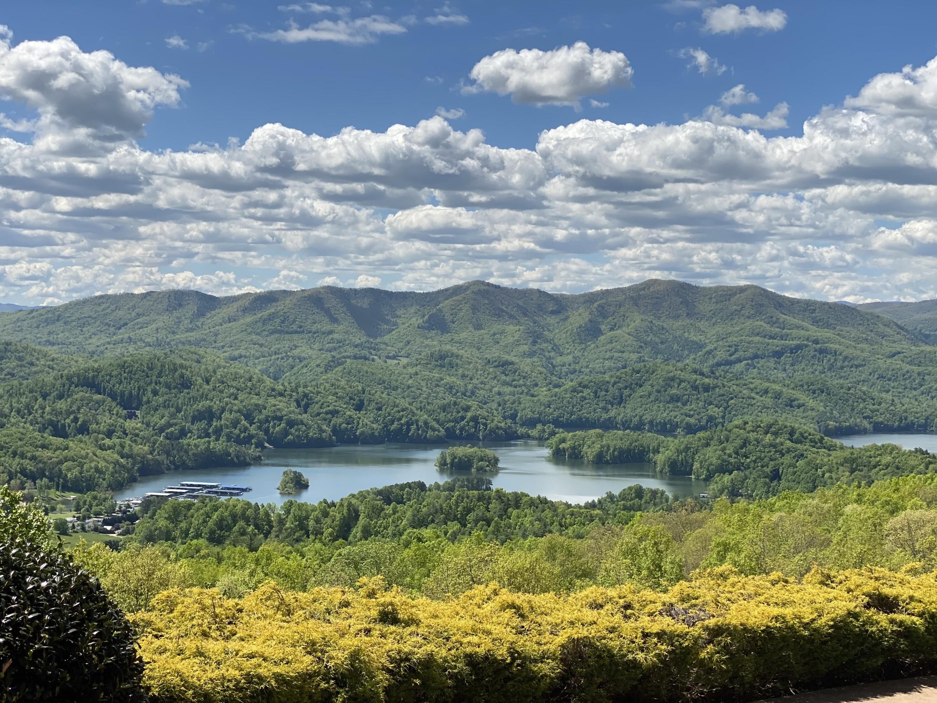 Butler, Carter County, TN Undeveloped Land, Lakefront Property