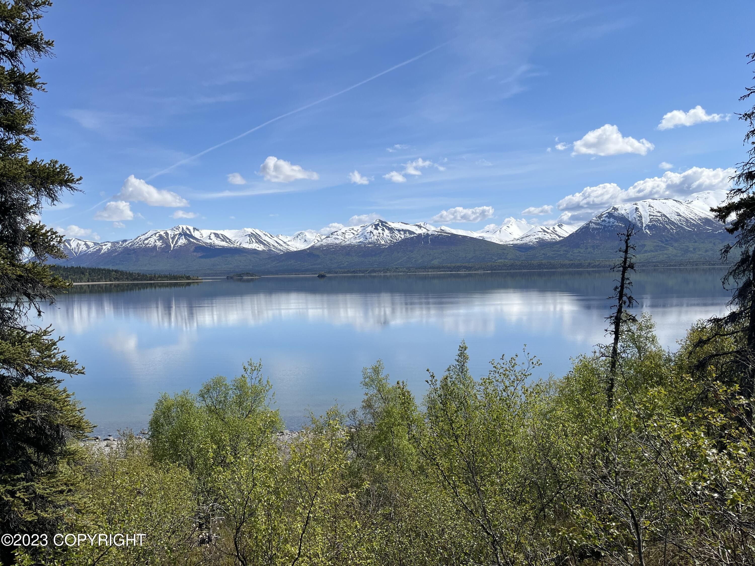 Lot 2c US Survey No. 7503 Alaska, Port Alsworth, AK 99653 MLS 24