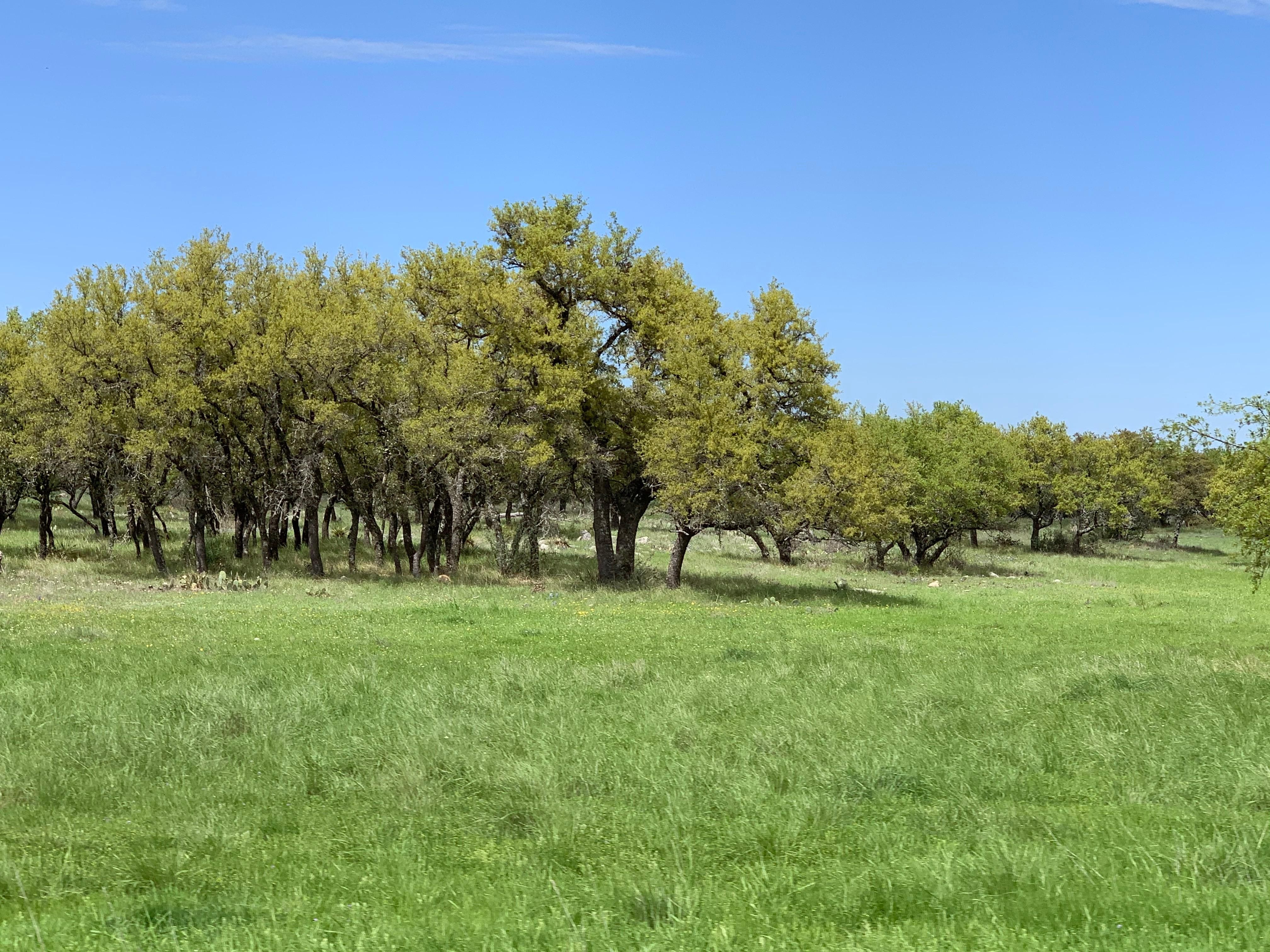 Menard, Menard County, TX Farms and Ranches, Recreational Property, Hunting Property for sale