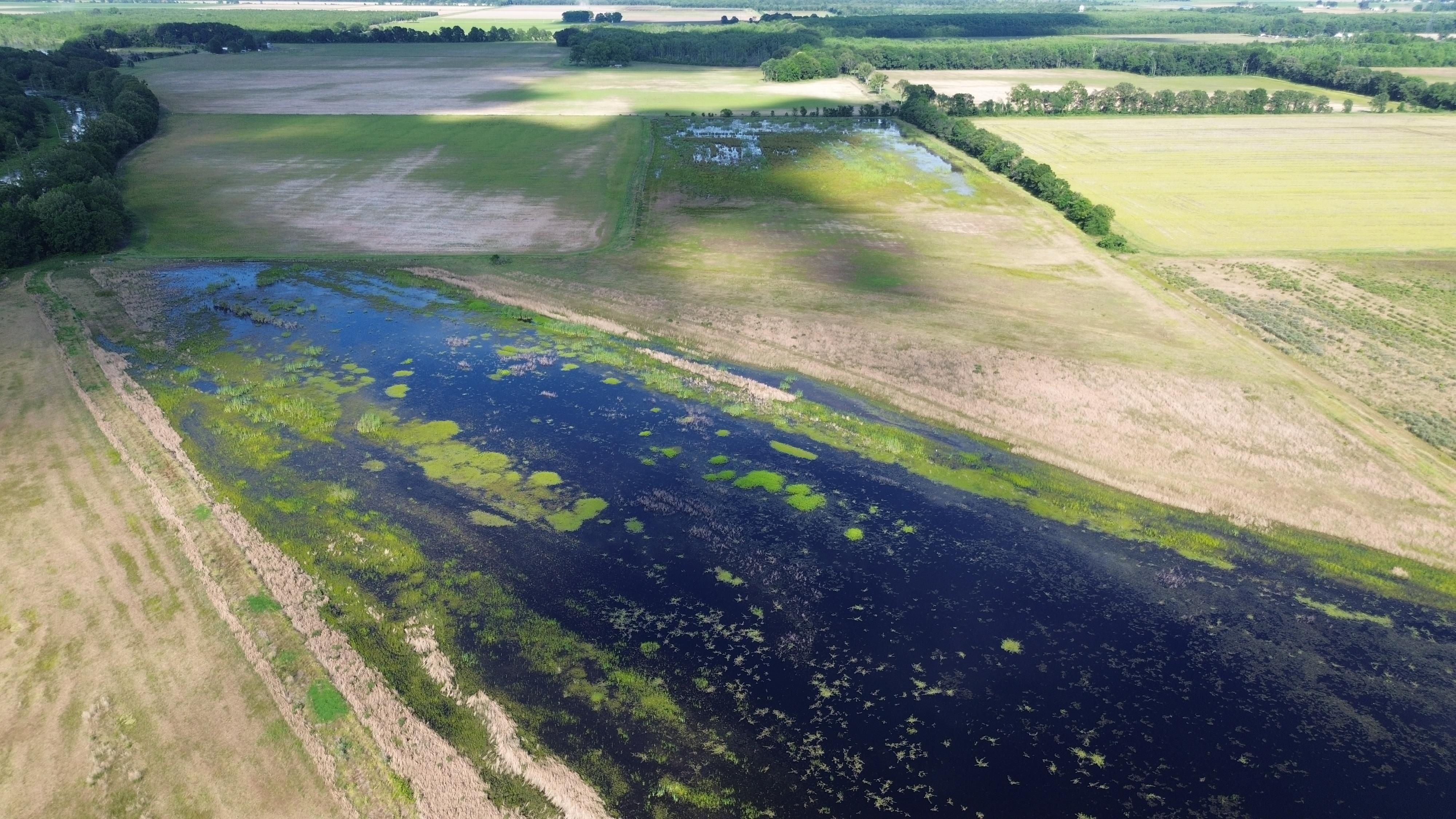 97 acres in Humnoke, AR, 72072 LandWatch