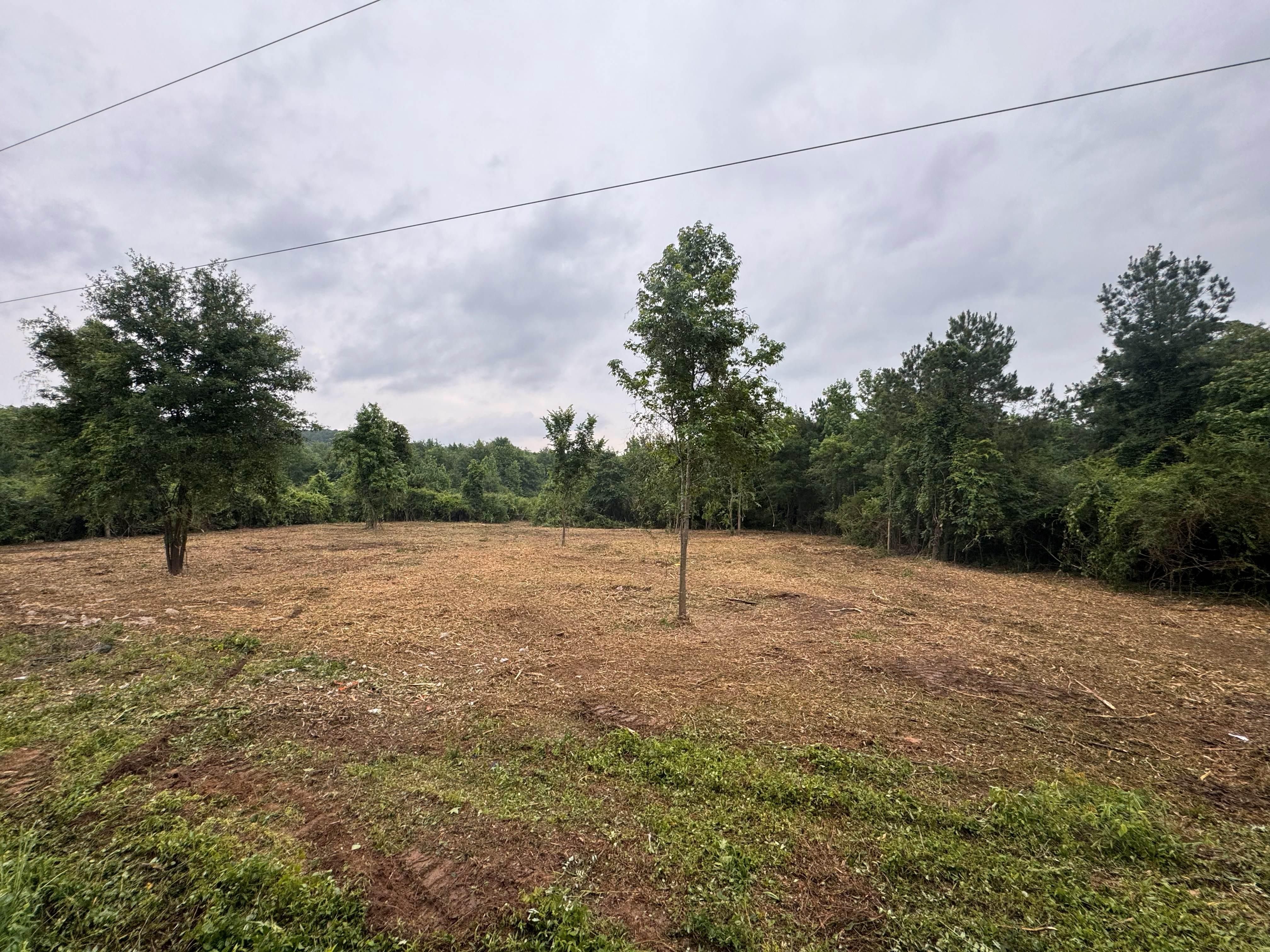 Long John Road, Marshall, TX 75672 LandWatch