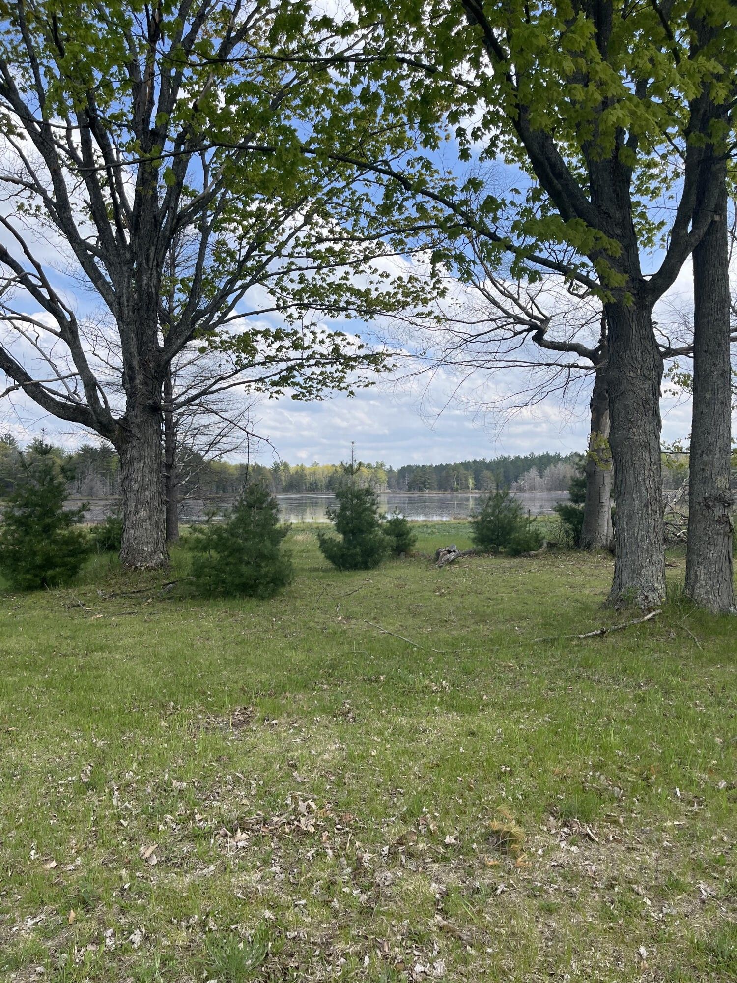 8644 Mcintosh Road, Millersburg, MI 49759 MLS 201829532 LandWatch