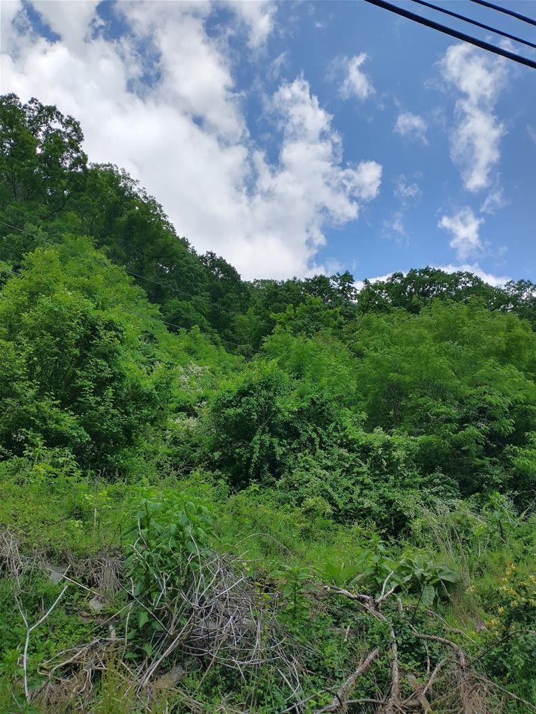Welch, McDowell County, WV for sale Property ID 419797423 LandWatch