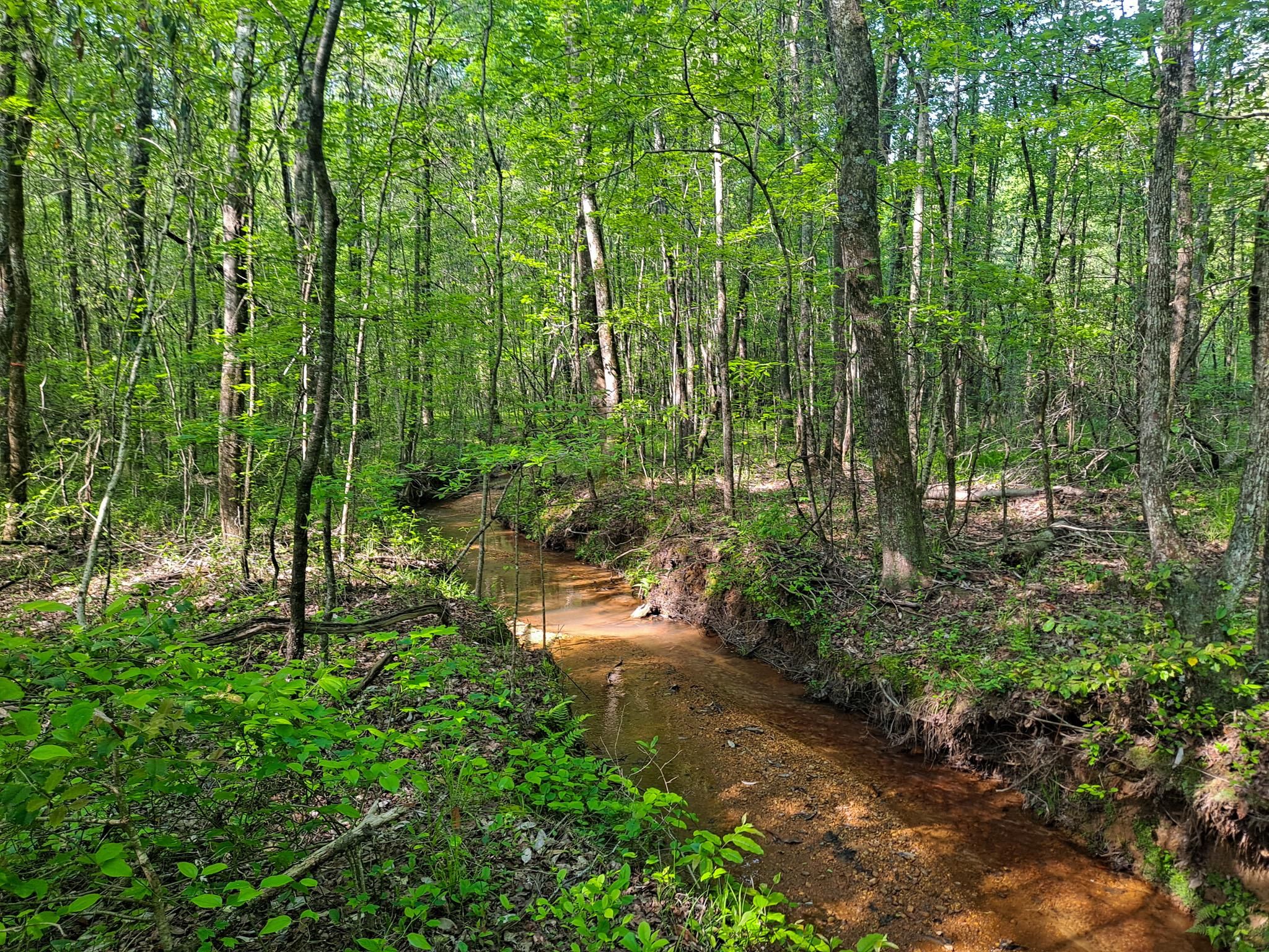 112 acres in Brilliant, AL, 35548 MLS CCS LandWatch