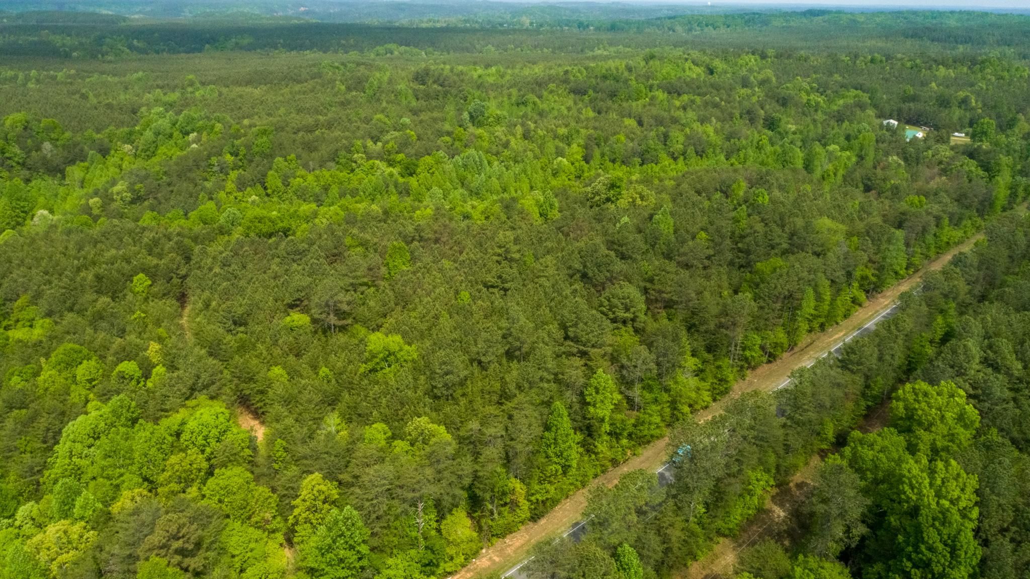 11 acres in Eldridge, AL, 35554 MLS OFP 10 LandWatch