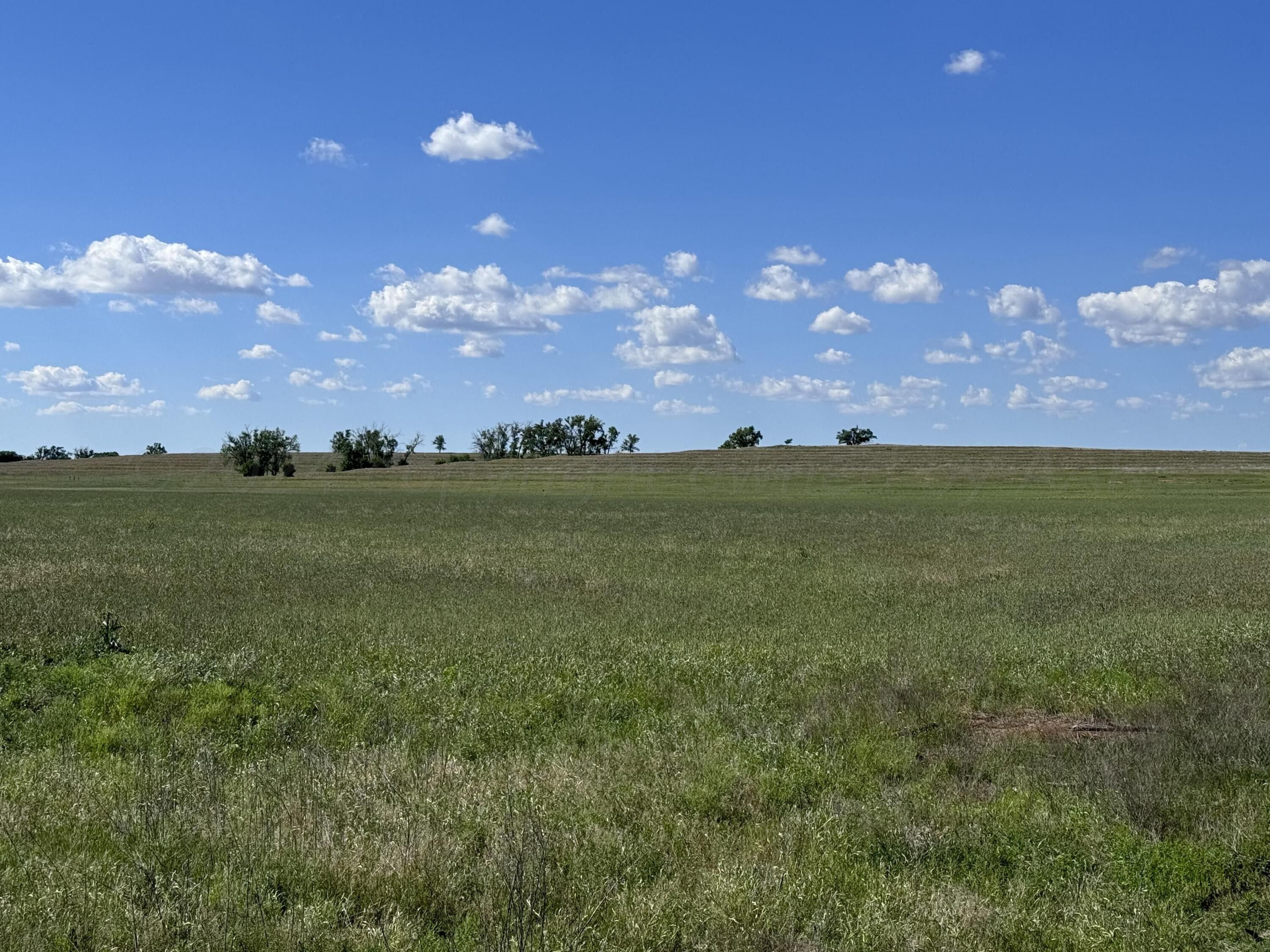 Shamrock, Wheeler County, TX Farms and Ranches for sale Property ID