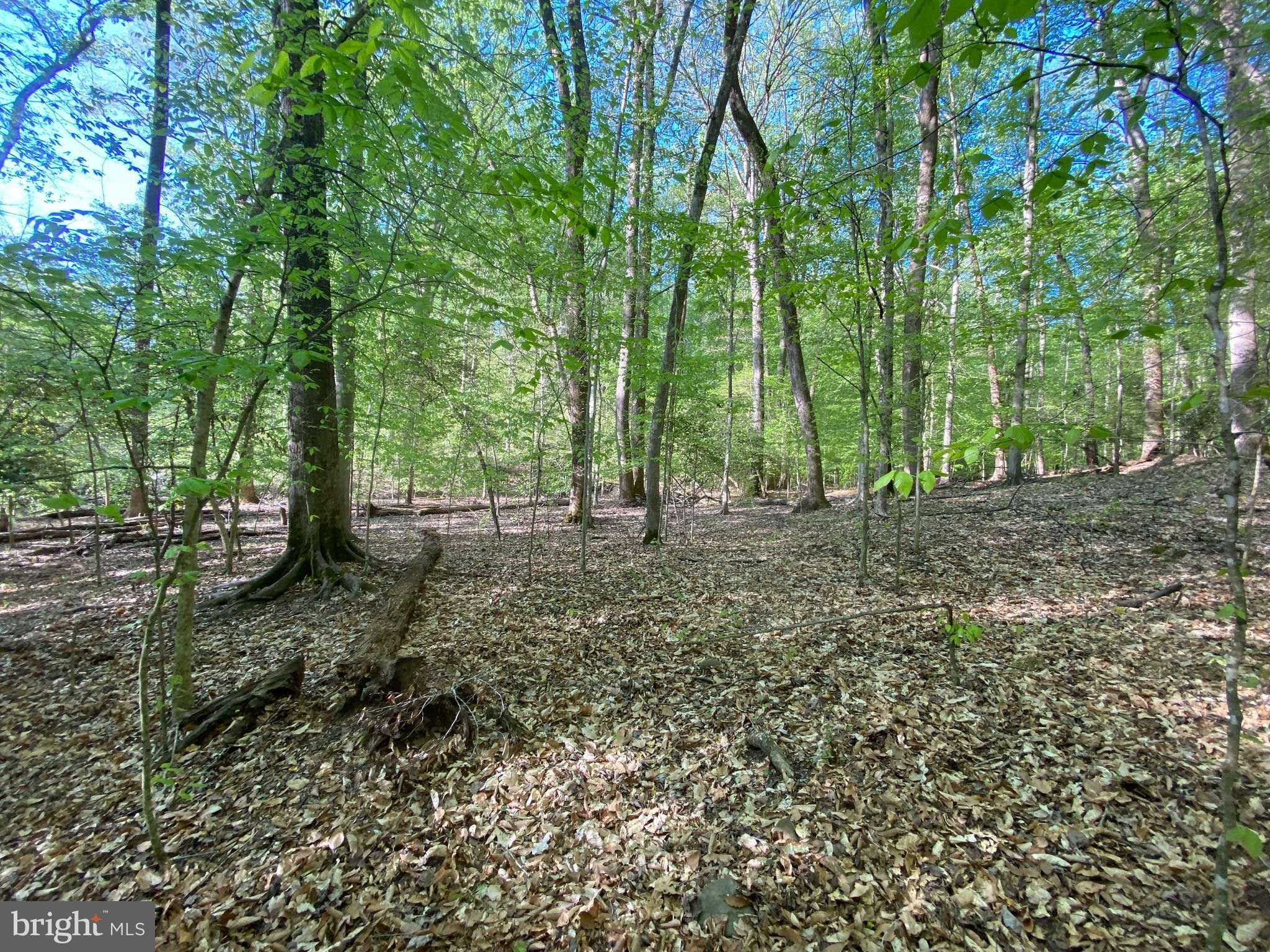 Accokeek, Prince County, MD Undeveloped Land for sale Property ID 419801802 LandWatch
