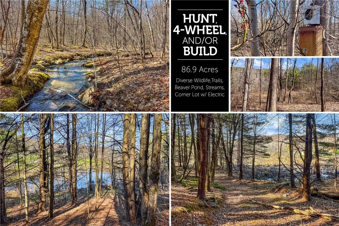 0 Pumpkin Hollow Road, Davenport, NY 13750 MLS R1534140 LandWatch