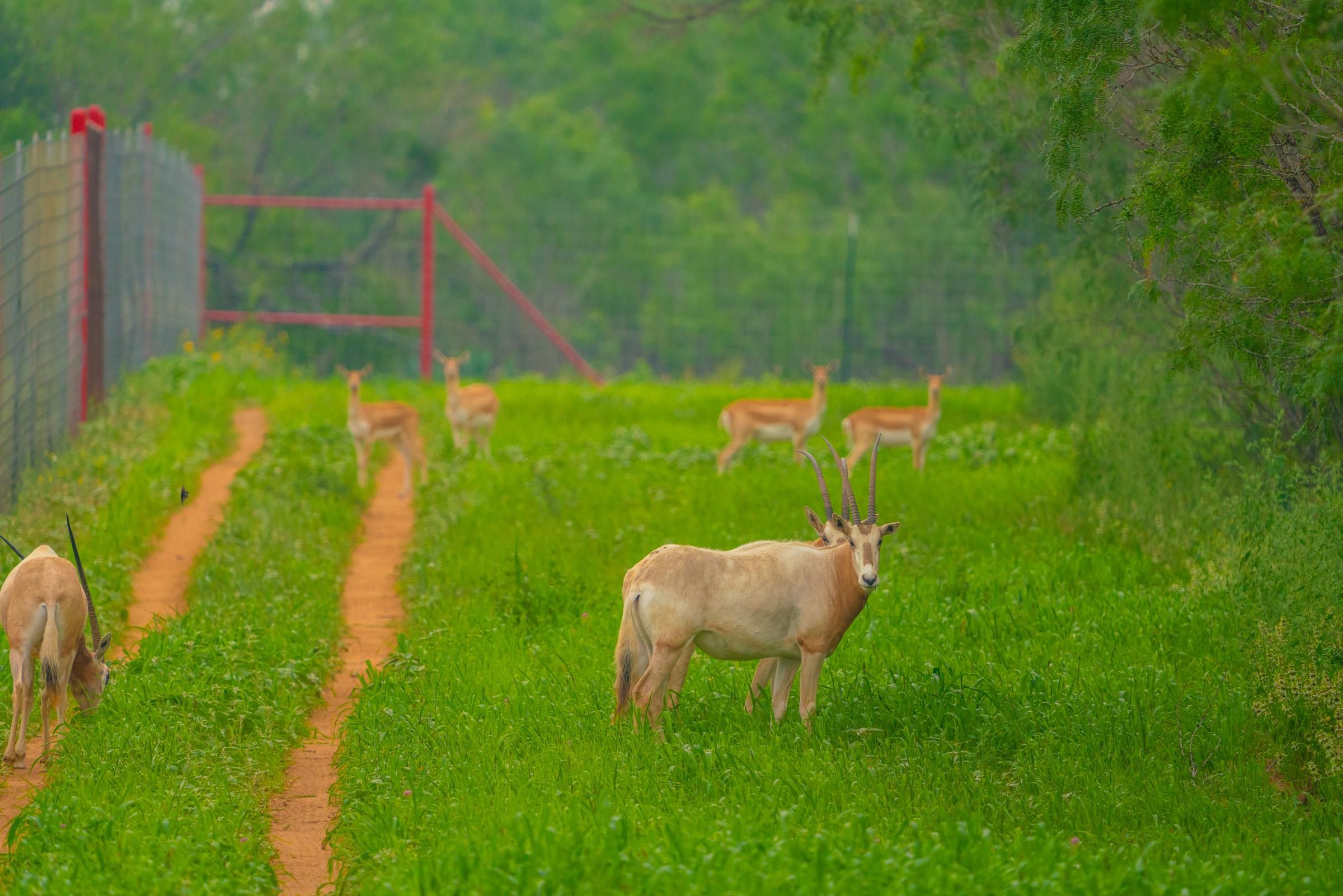 50 acres in Somerset, TX, 78069 LandWatch