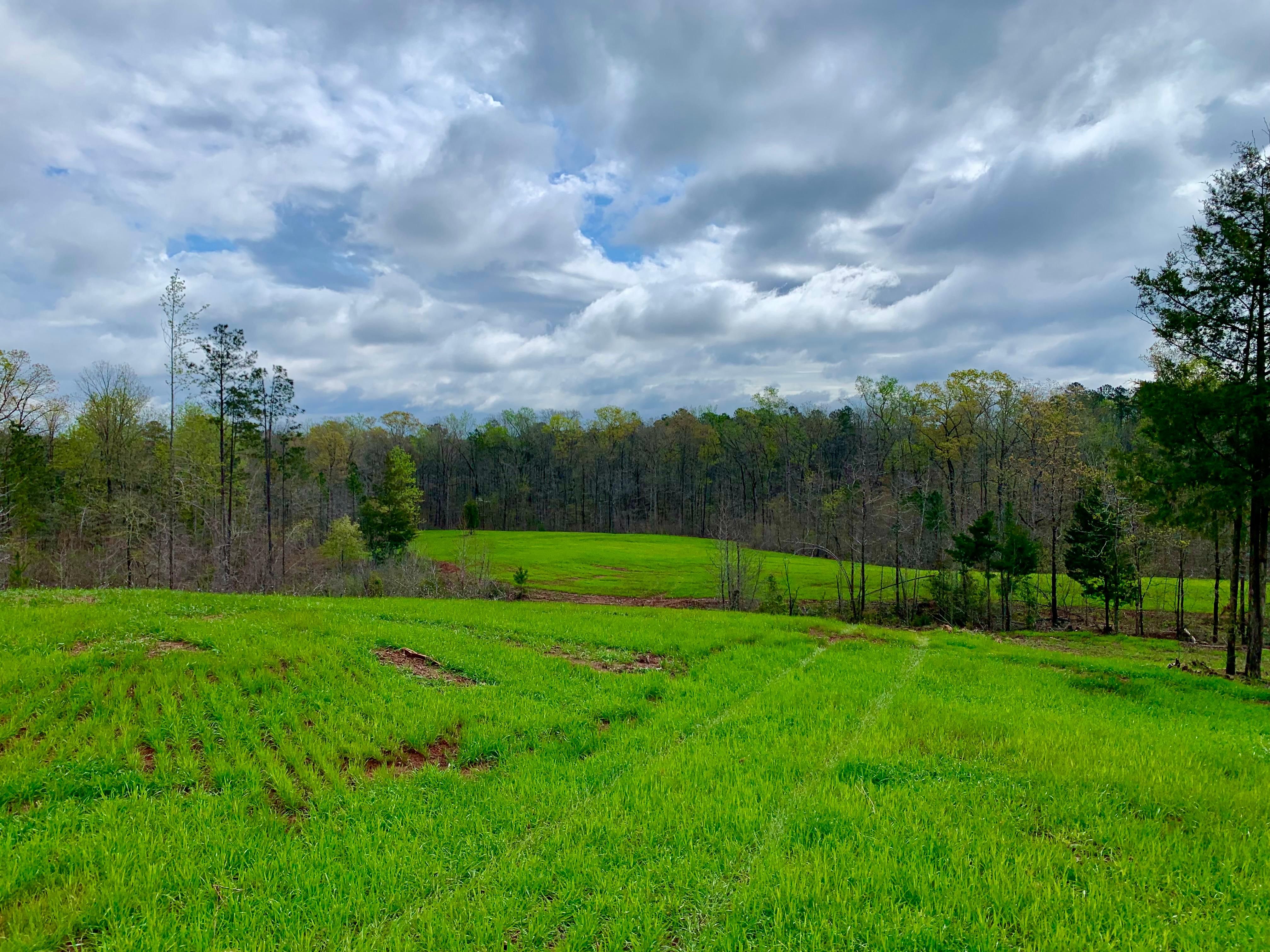 Abercrombie Road, Culloden, GA 31016 MLS 20170536 LandWatch
