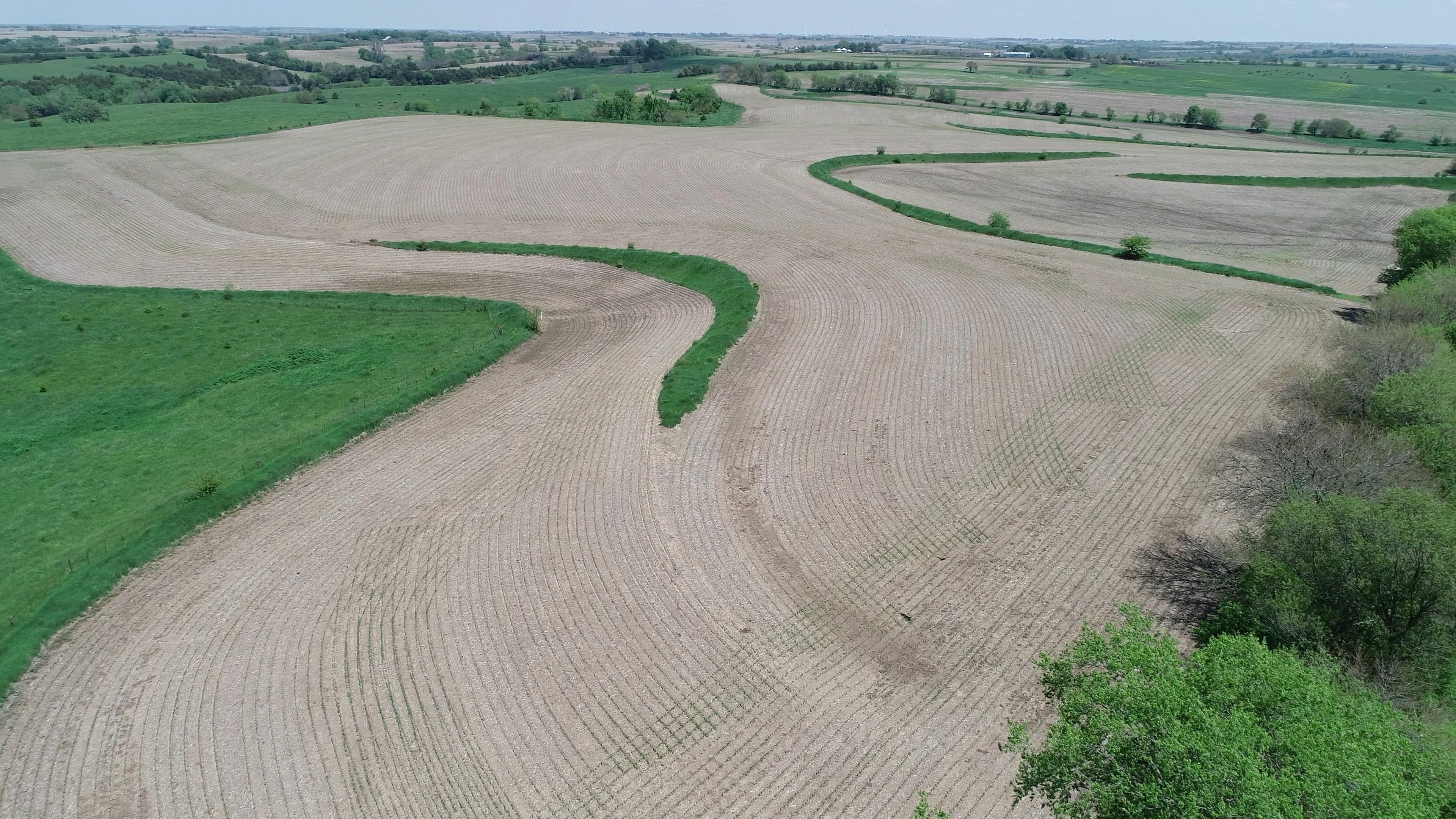 75.93 acres in Villisca, IA, 50864 MLS Mulligan 75 Farm LandWatch