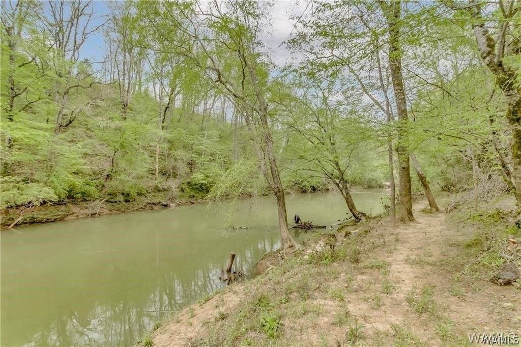 Berry, Fayette County, AL Undeveloped Land for sale Property ID