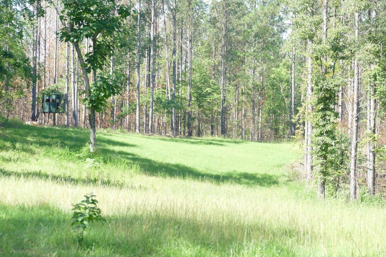 Mountain Dr, Remlap, AL 35133 LandWatch