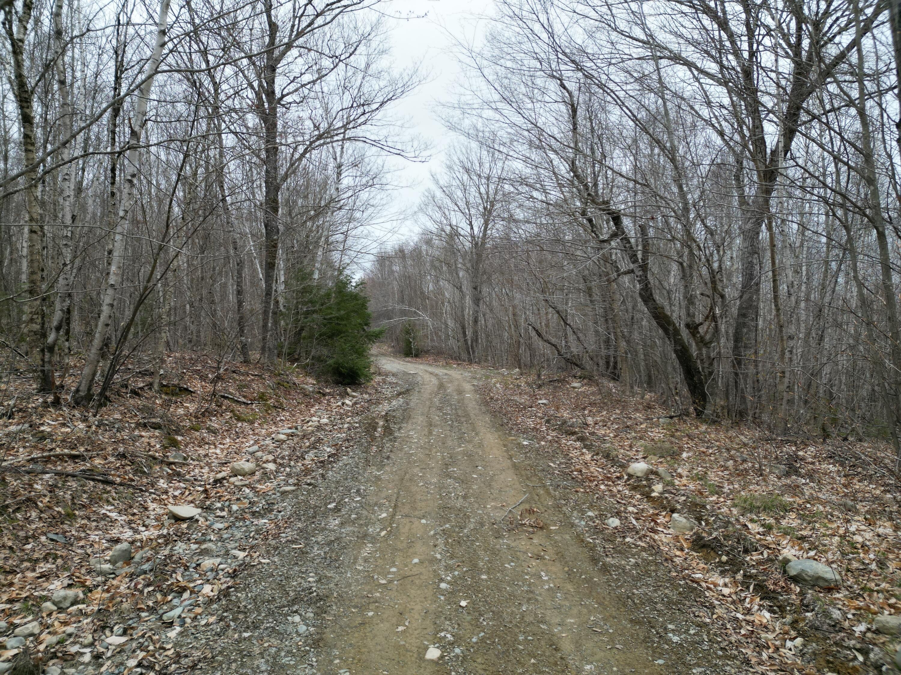 Lakeville, Penobscot County, ME Undeveloped Land, Lakefront Property
