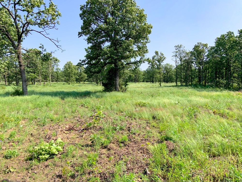 1010 NE 100th Road SE Tract, Sheldon, MO 64784 MLS Barton 42.6