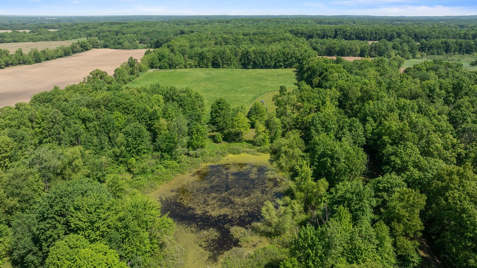 2500 E Hastings Road, Jonesville, MI 49250 MLS 24025700 LandWatch