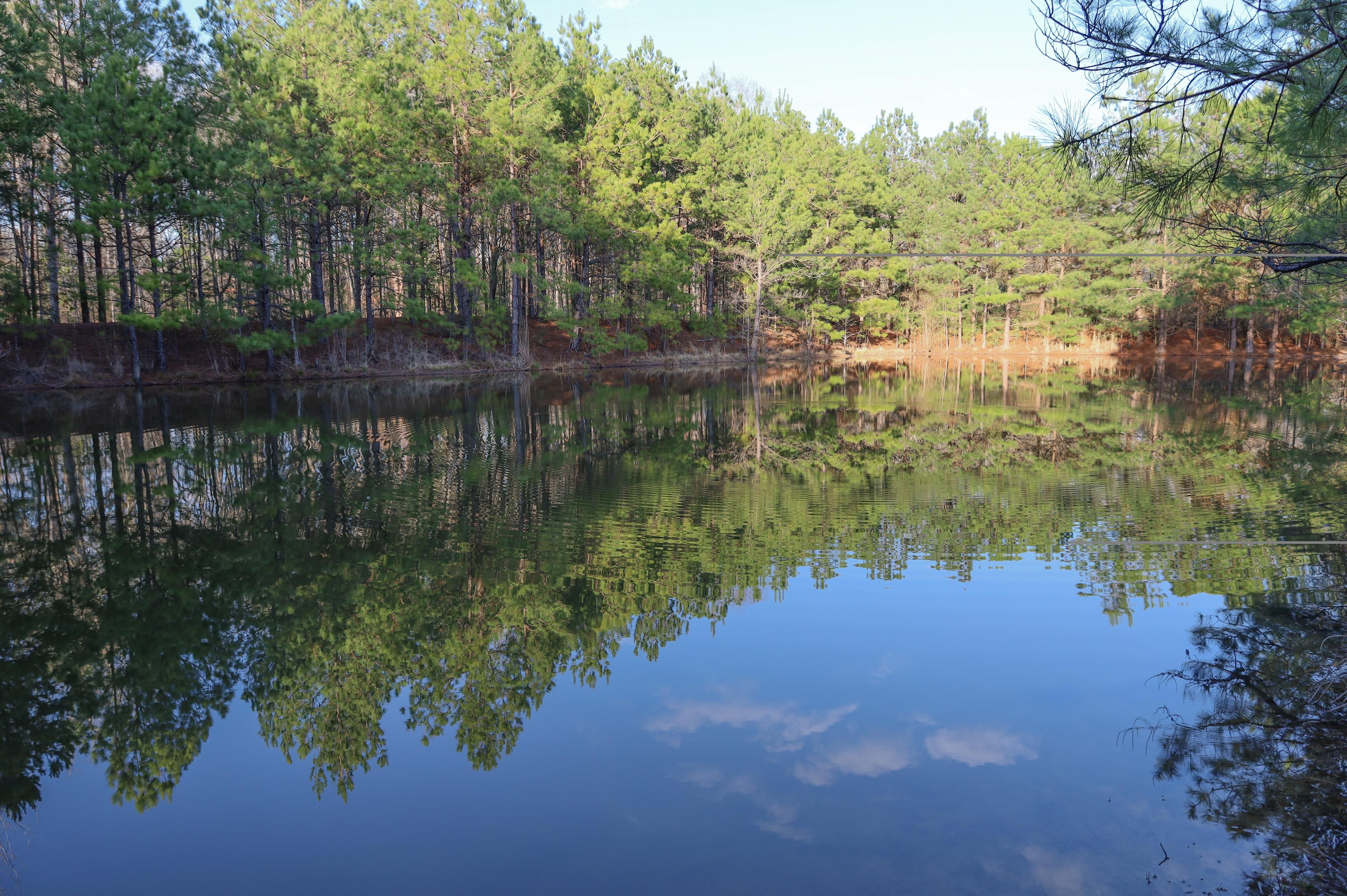 48 acres in Eros, LA, 71238 LandWatch