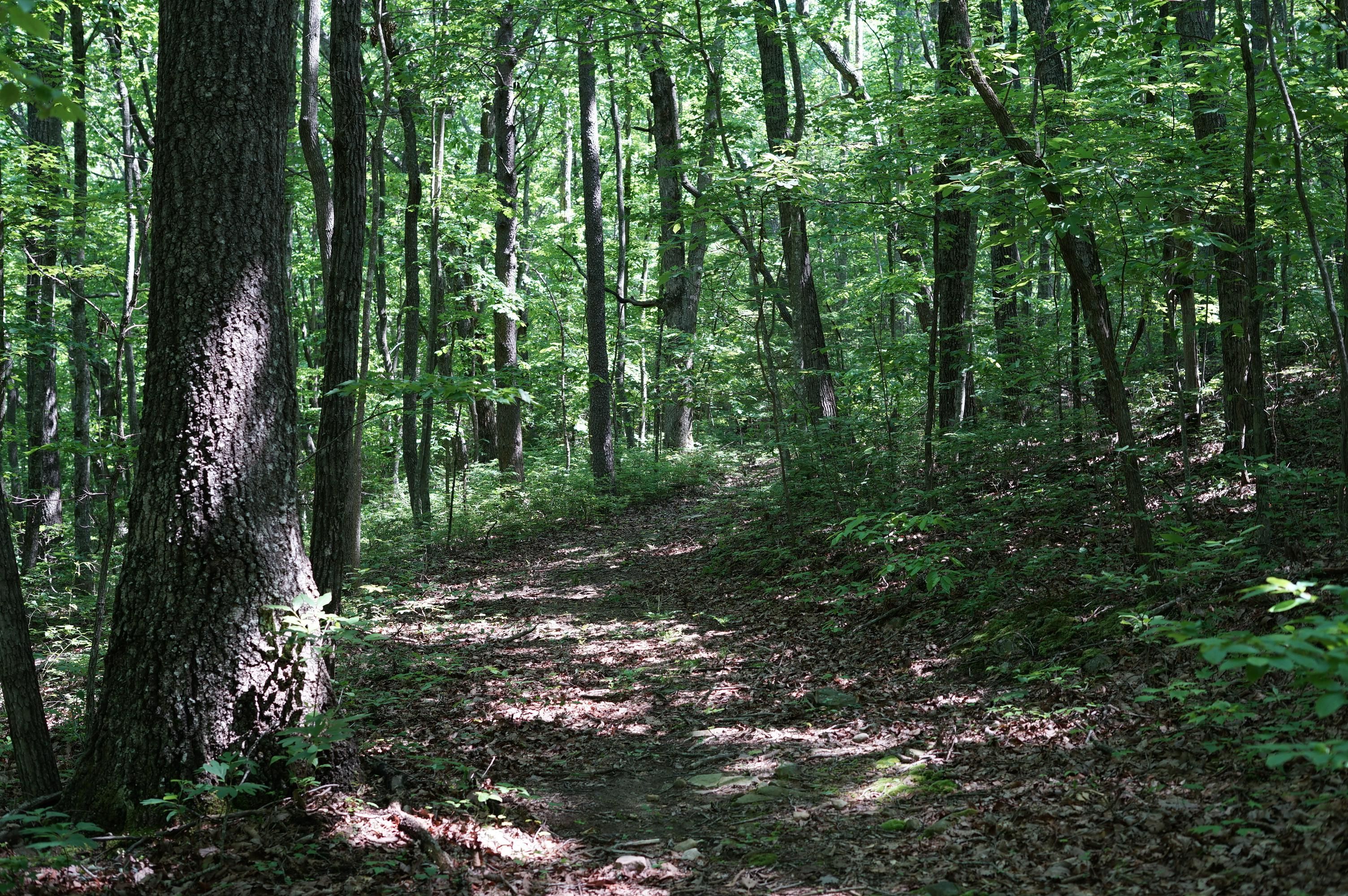 Brayton Rd, Graysville, TN 37338 MLS 1392538 LandWatch