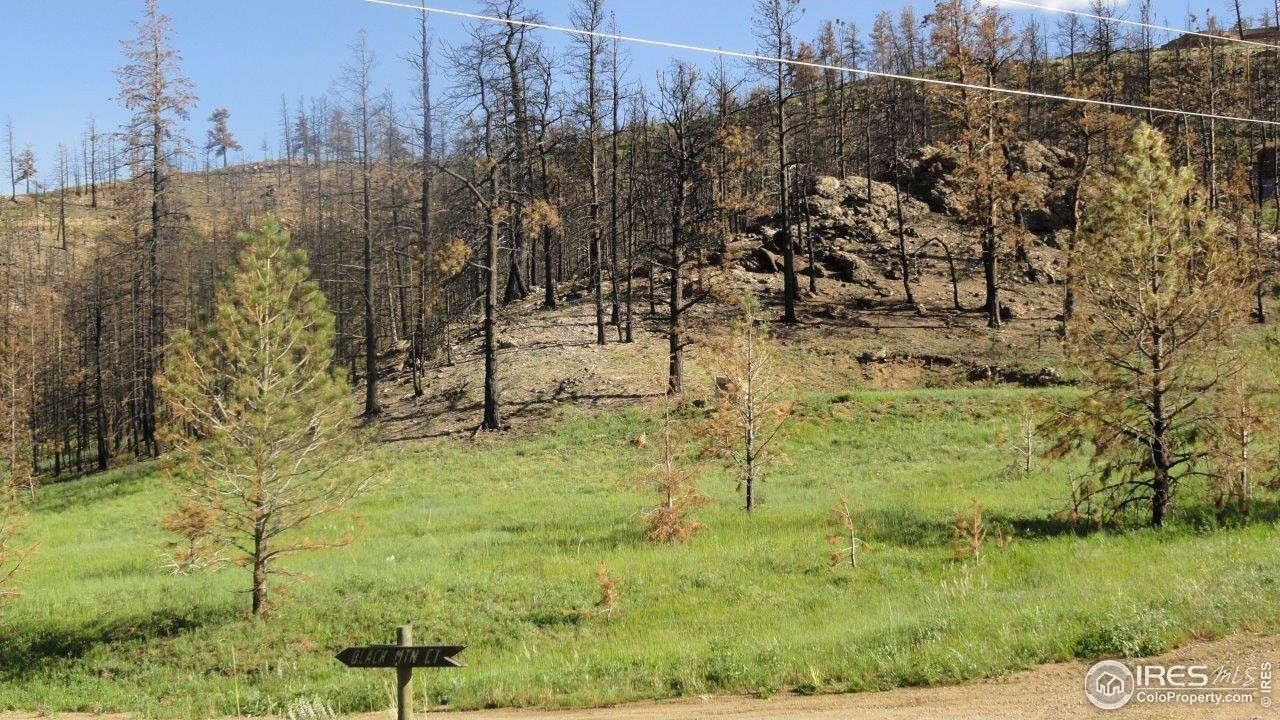 37 Black Mountain Ct, Livermore, CO 80536 MLS 1010181 LandWatch