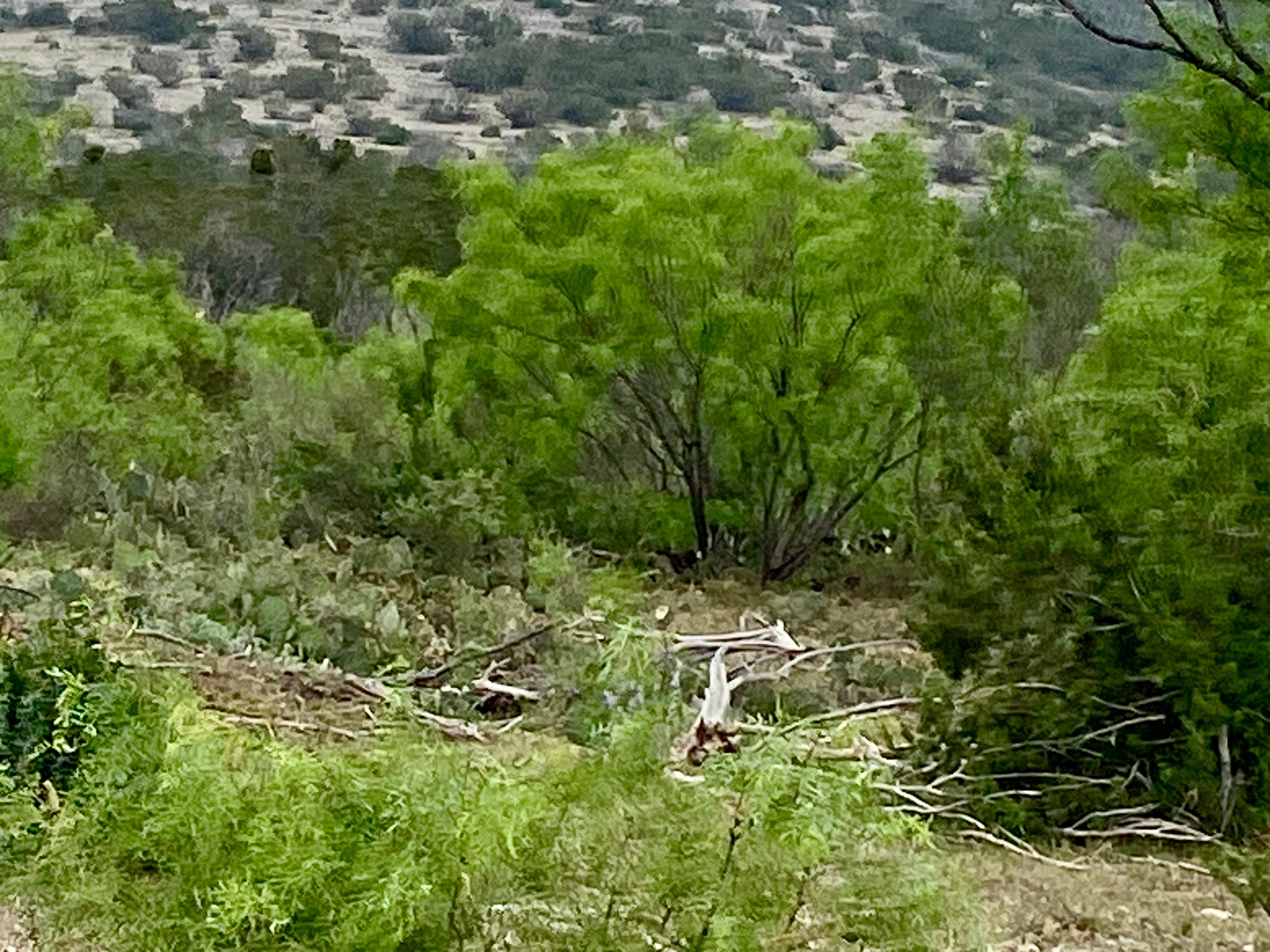 Juno, Val Verde County, TX Farms and Ranches, Recreational Property, Hunting Property for sale