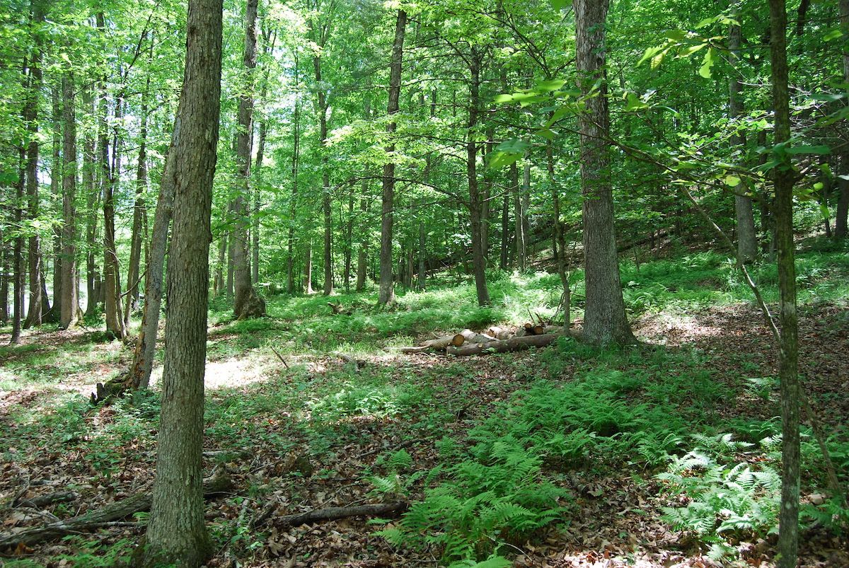 Lot 13 Pleasant Dale Lane, Great Cacapon, WV 25422 LandWatch