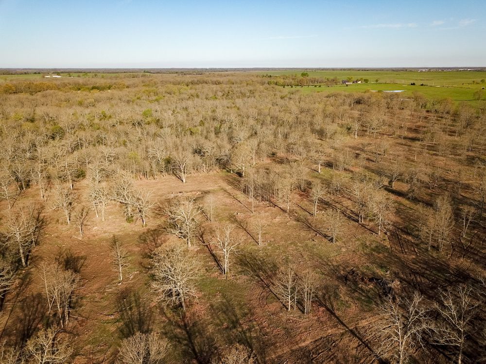 1010 NE 100th Road South Tract, Sheldon, MO 64784 MLS Barton 83