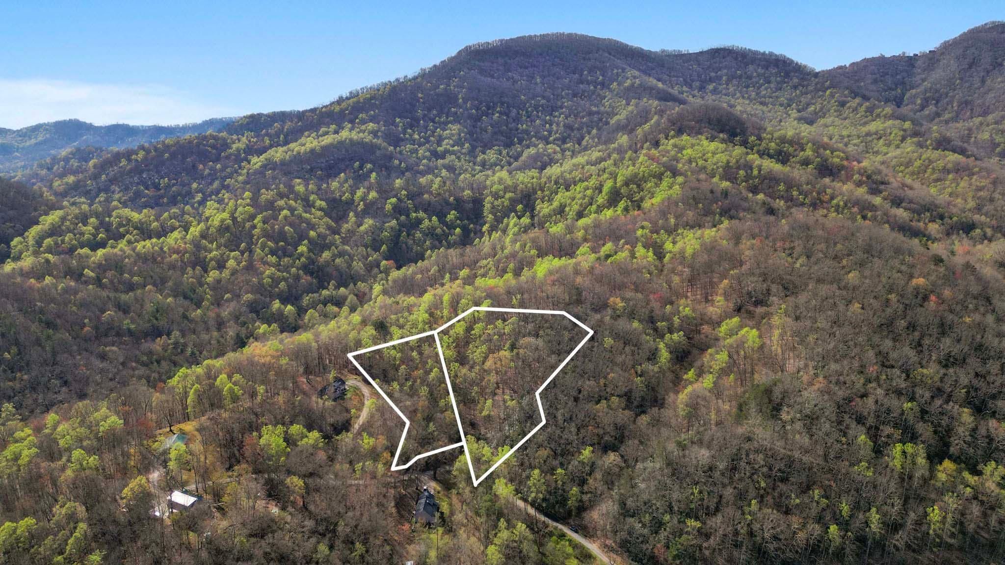 Leicester, County, NC Farms and Ranches, Undeveloped Land