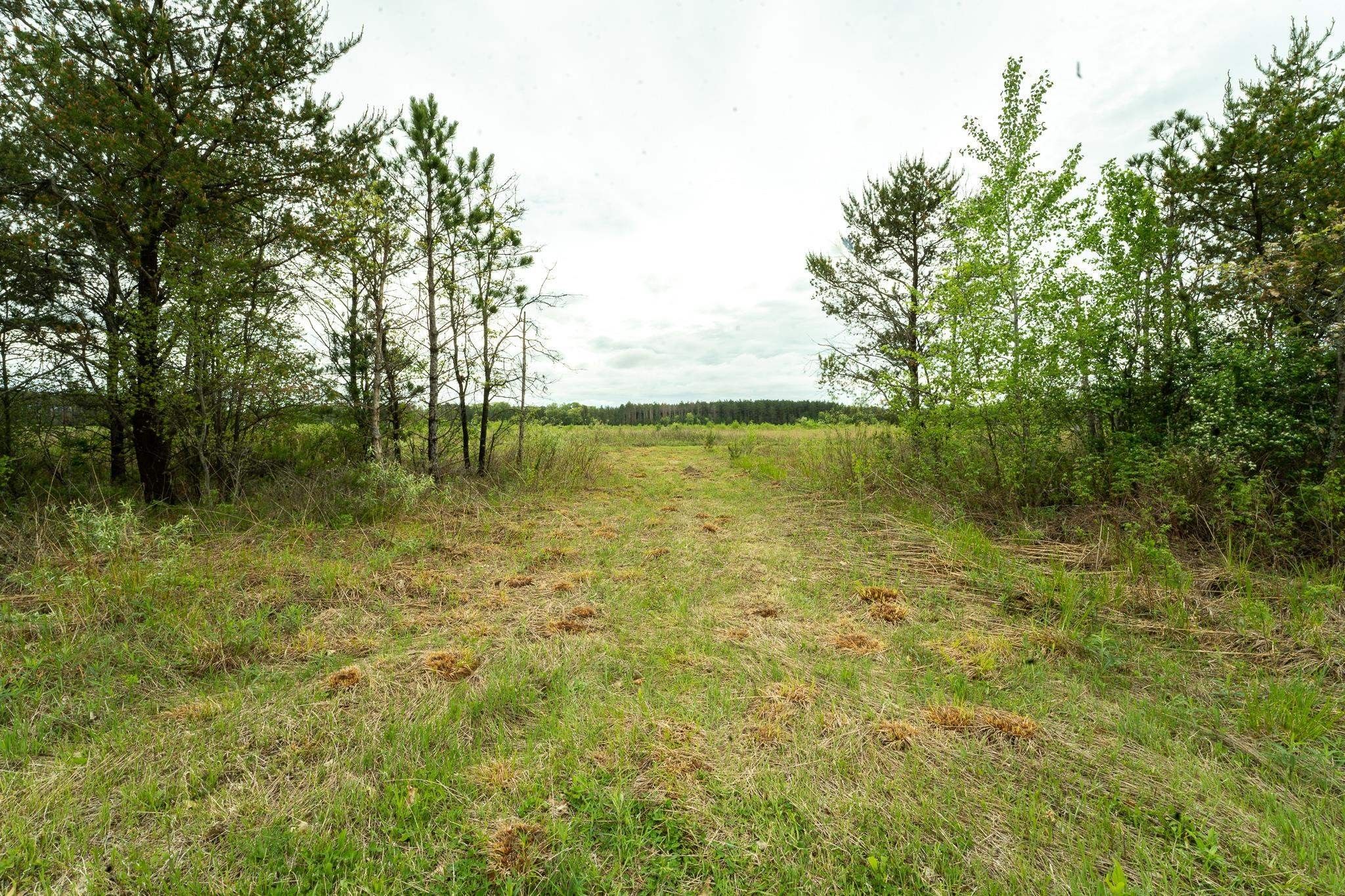 5 Acres Brown Deer Drive, Arkdale, WI 54613 MLS 1978049 LandWatch