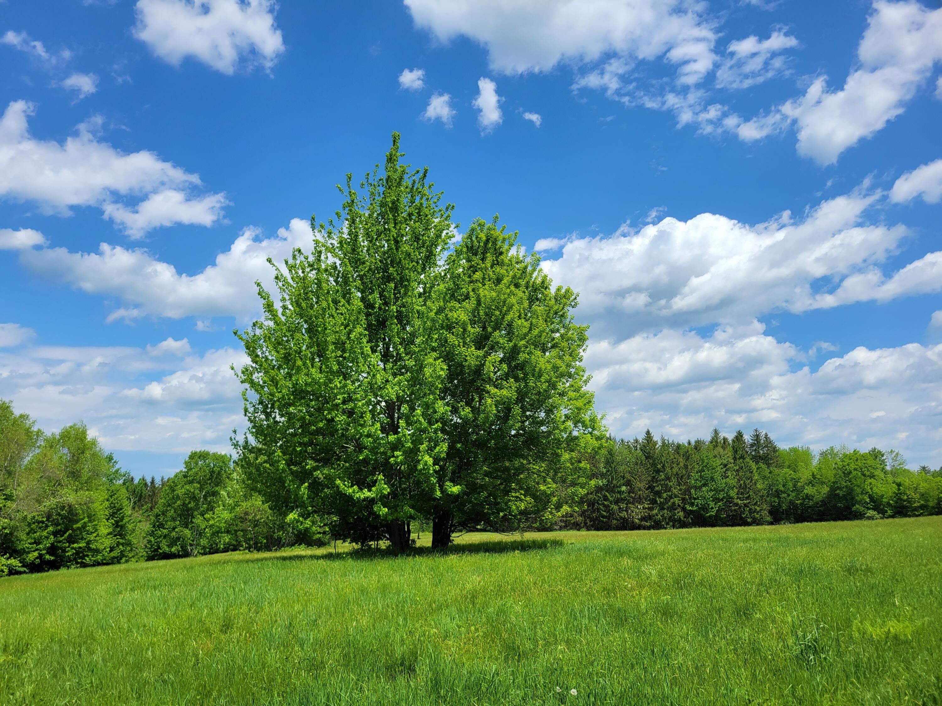 Mount Vernon, Kennebec County, ME Undeveloped Land for sale Property ID