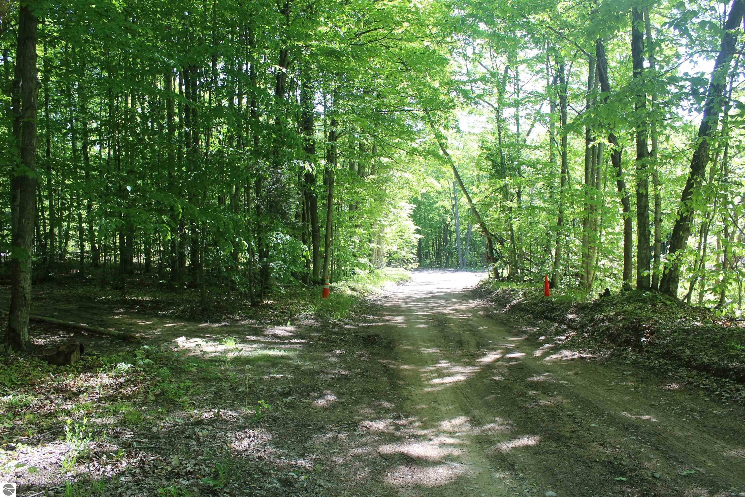 Ellsworth, Antrim County, MI Undeveloped Land, Homesites for sale