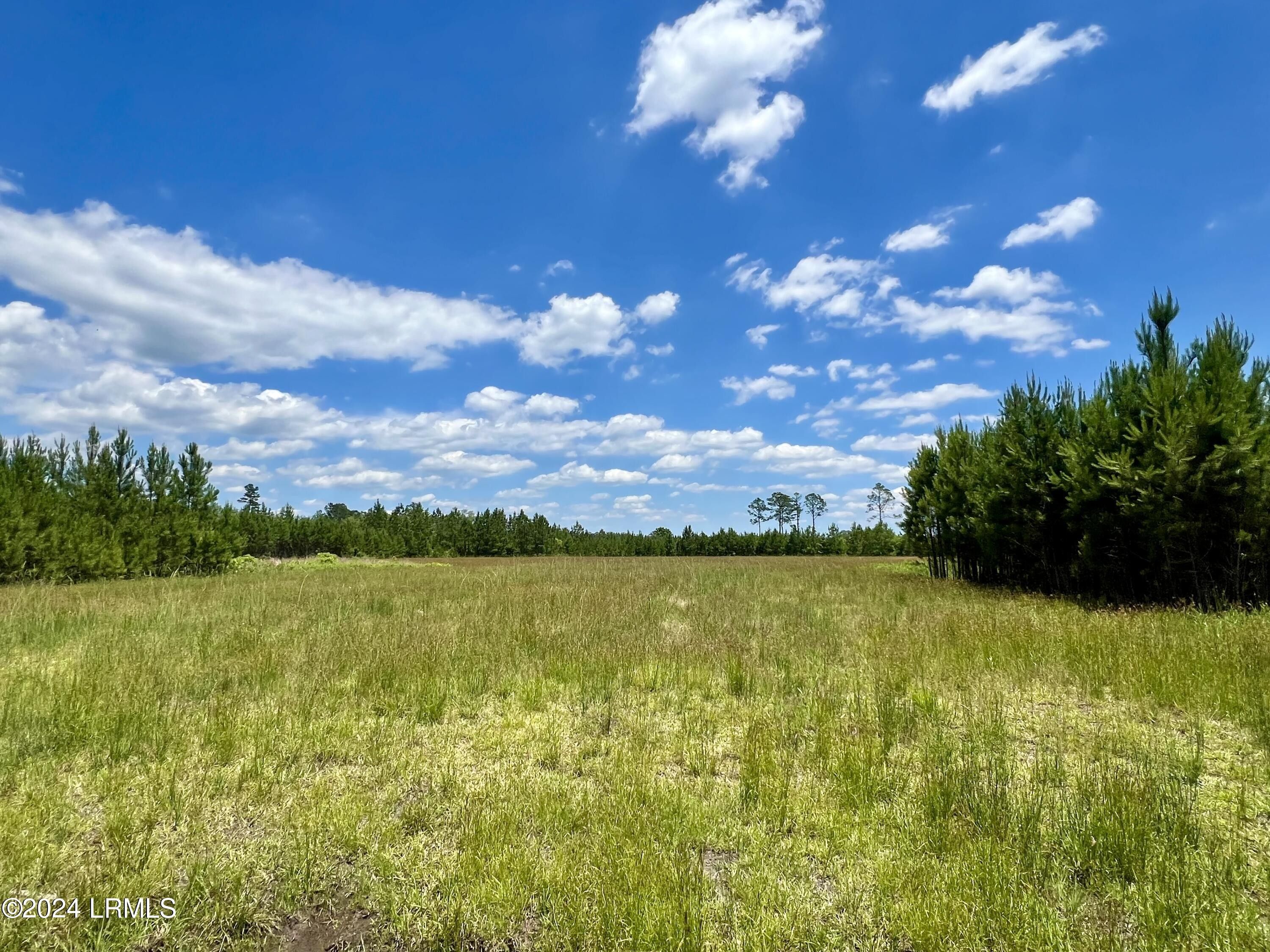 1110 Slater Oaks Road, Early Branch, SC 29916 MLS 185383 LandWatch