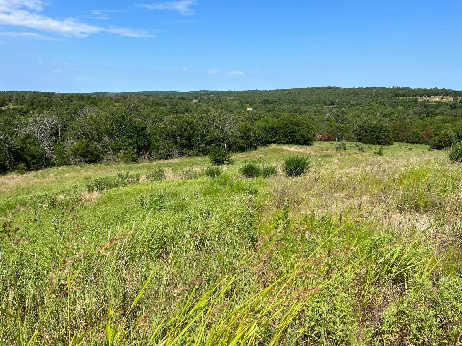 Coalgate, Coal County, OK Undeveloped Land for sale Property ID