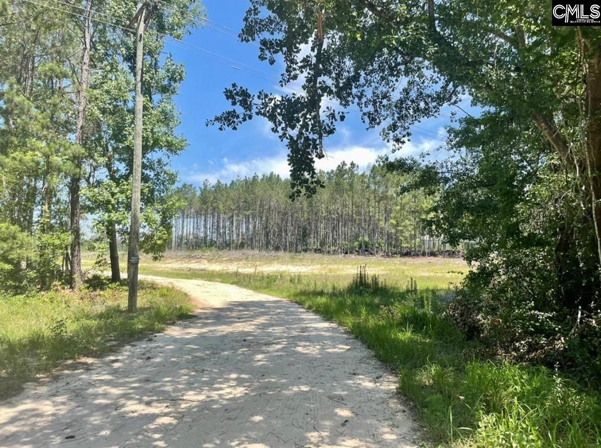 0 Peach Orchard Road, Dalzell, SC 29040 MLS 585970 LandWatch